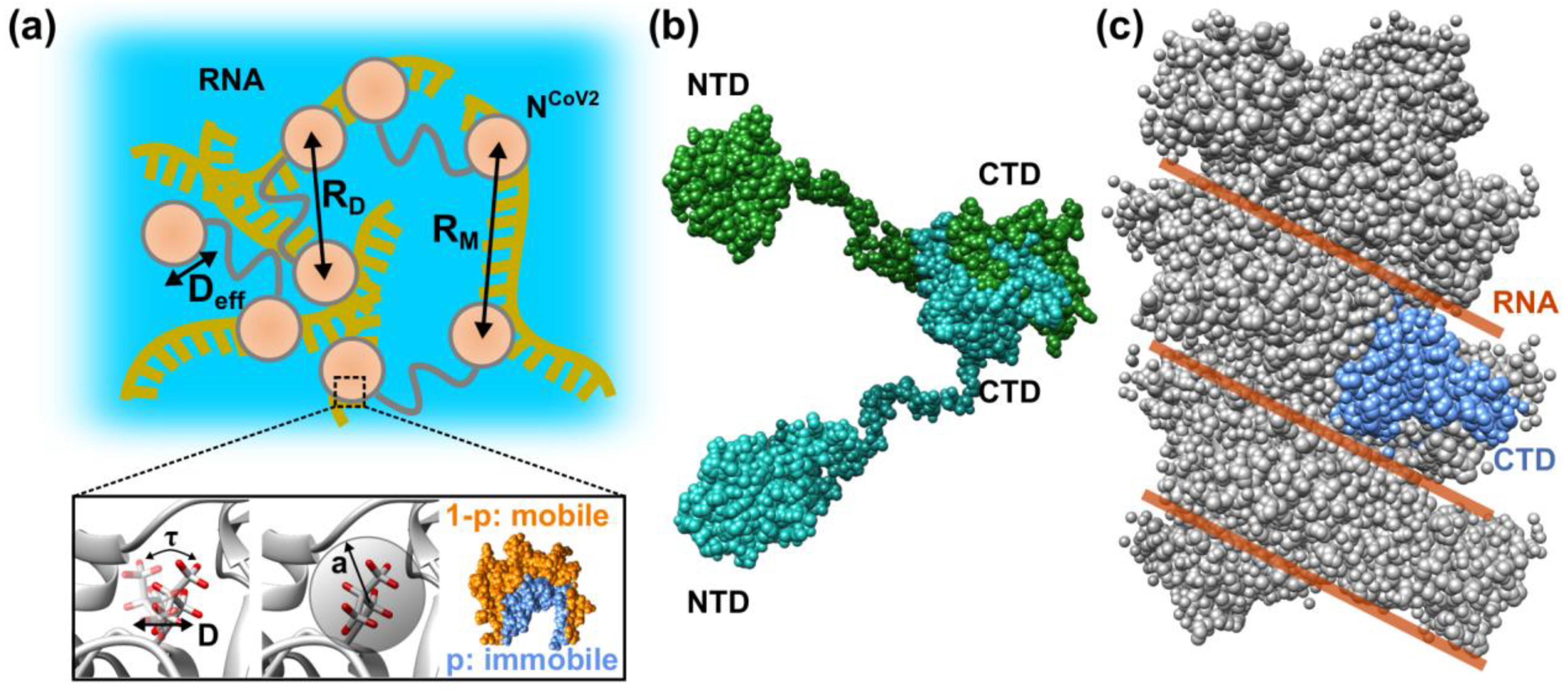 Biology 10 00454 g007 Biology 10 00454 g007