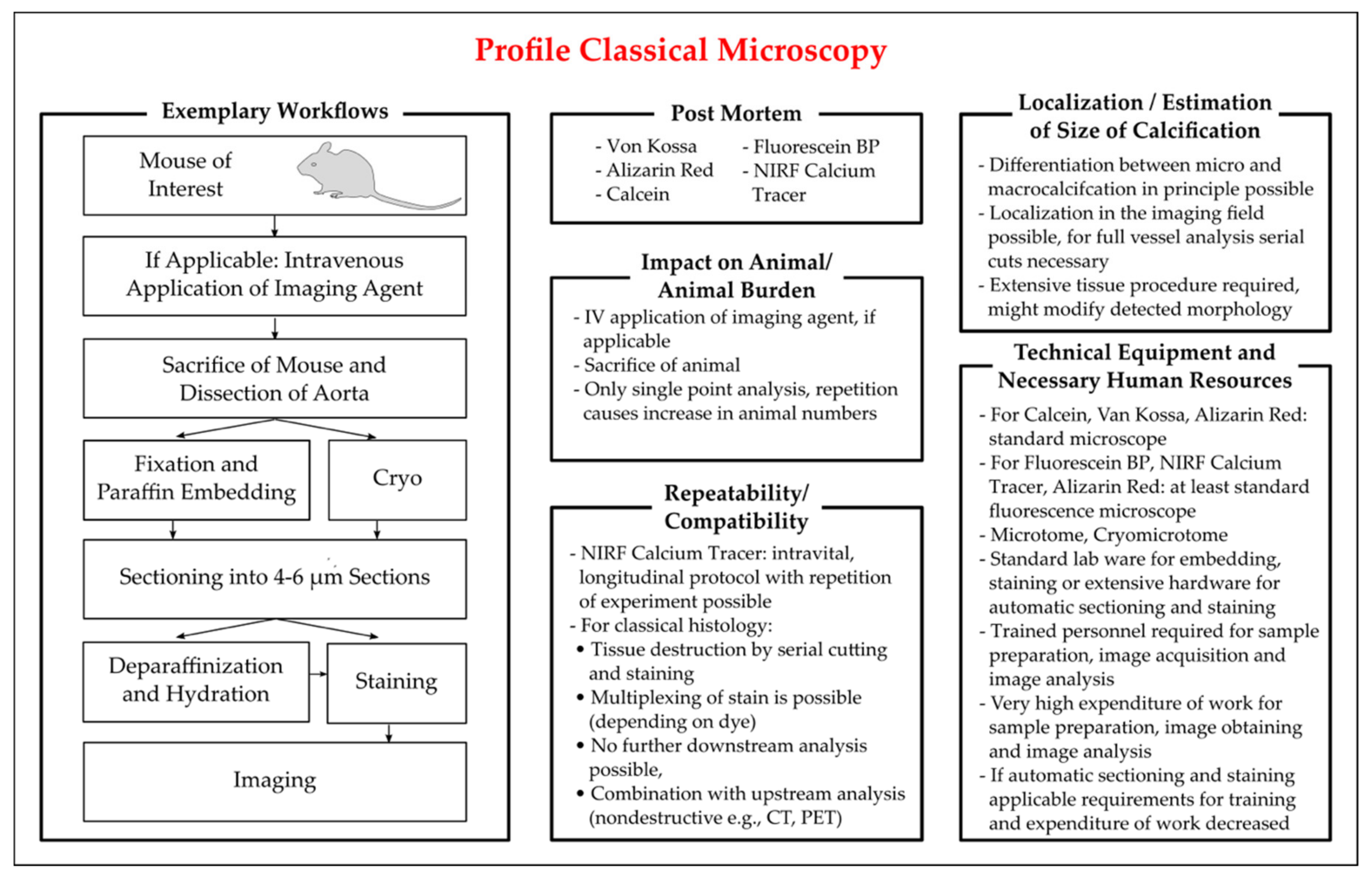 Biology 10 00459 g001 Biology 10 00459 g001