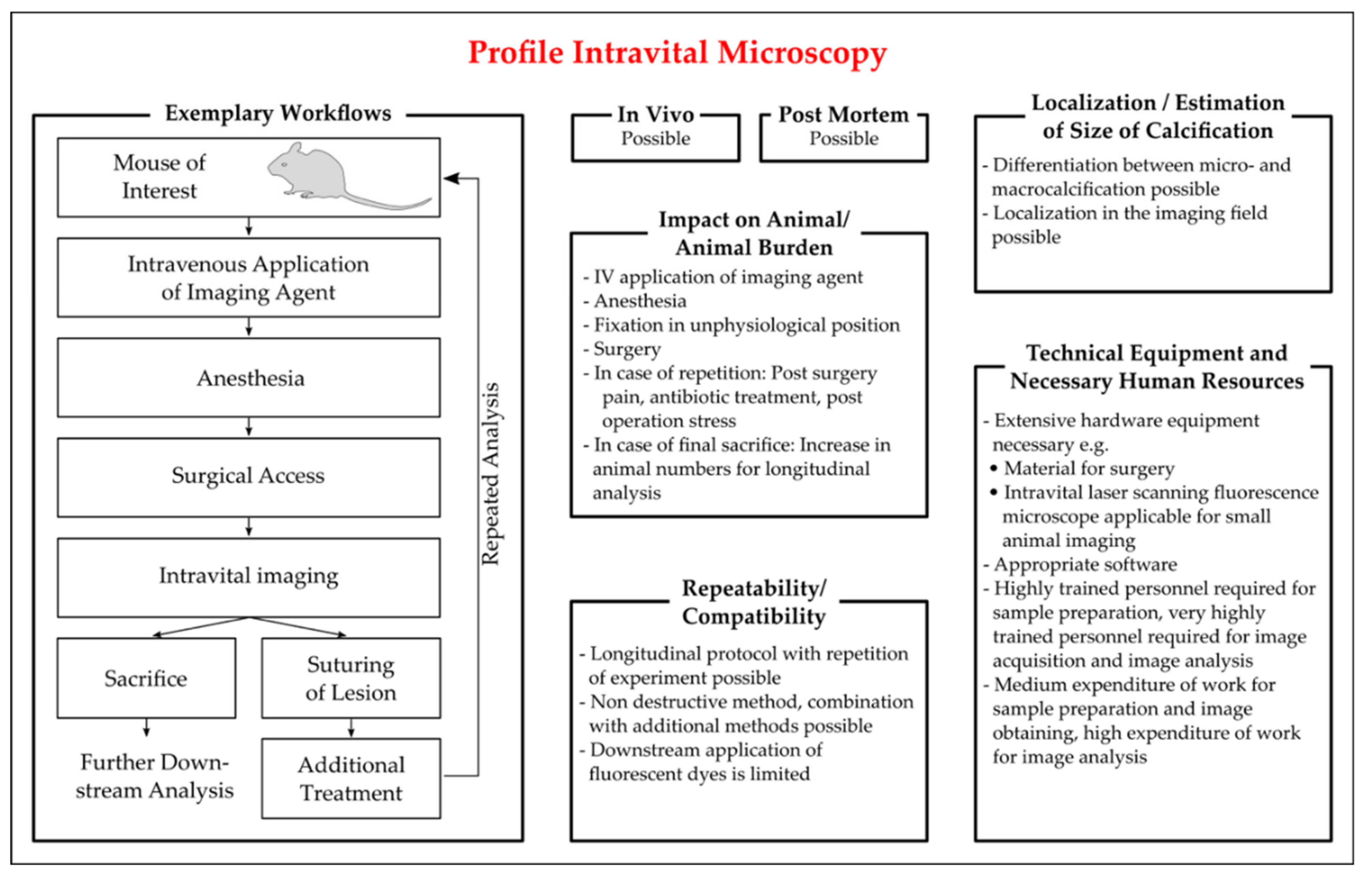 Biology 10 00459 g002 Biology 10 00459 g002