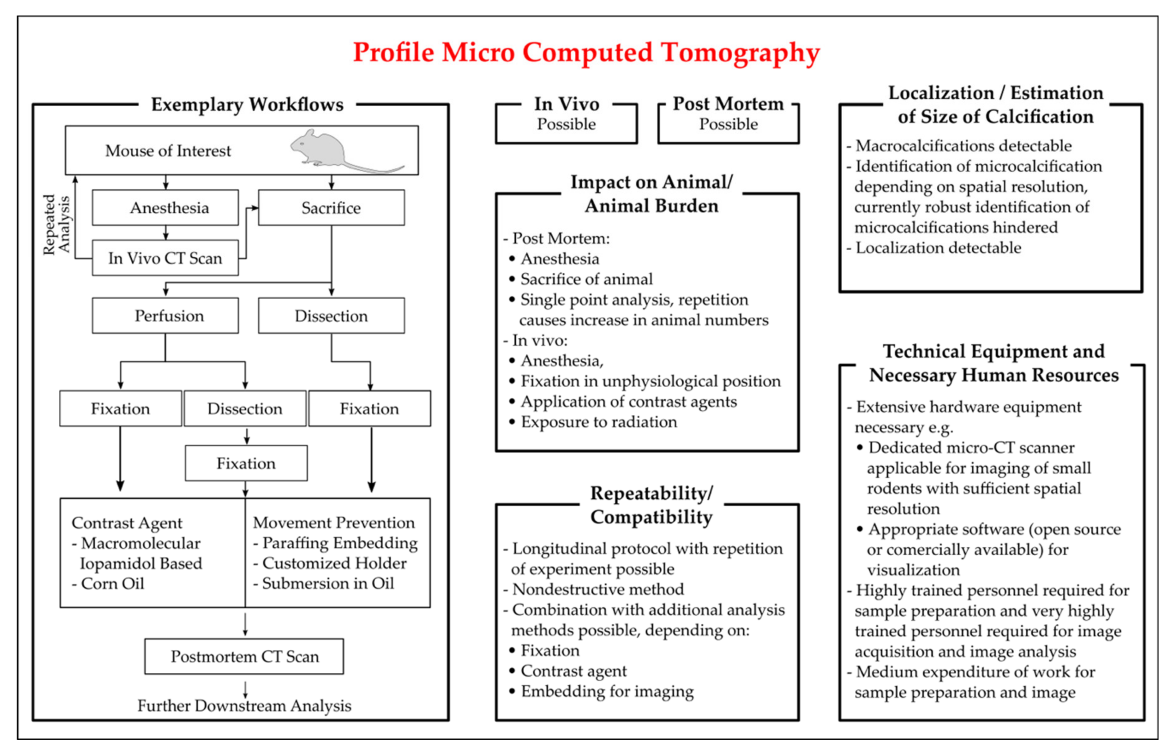 Biology 10 00459 g003 Biology 10 00459 g003