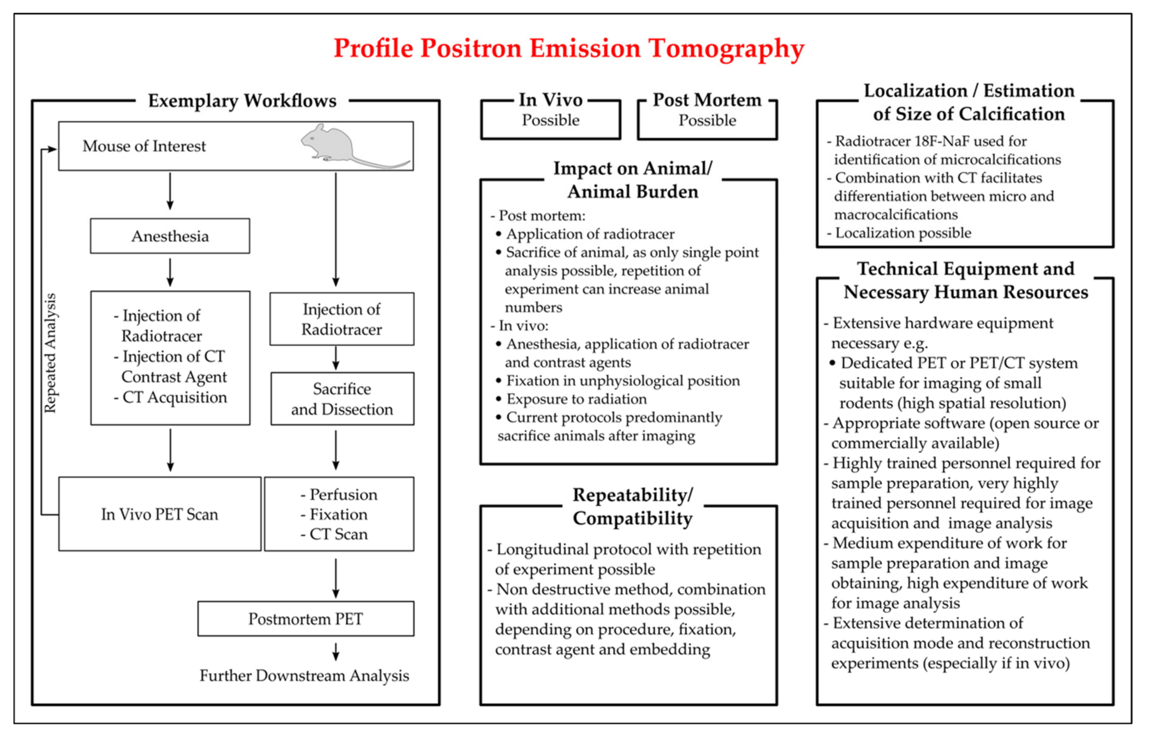 Biology 10 00459 g004 Biology 10 00459 g004