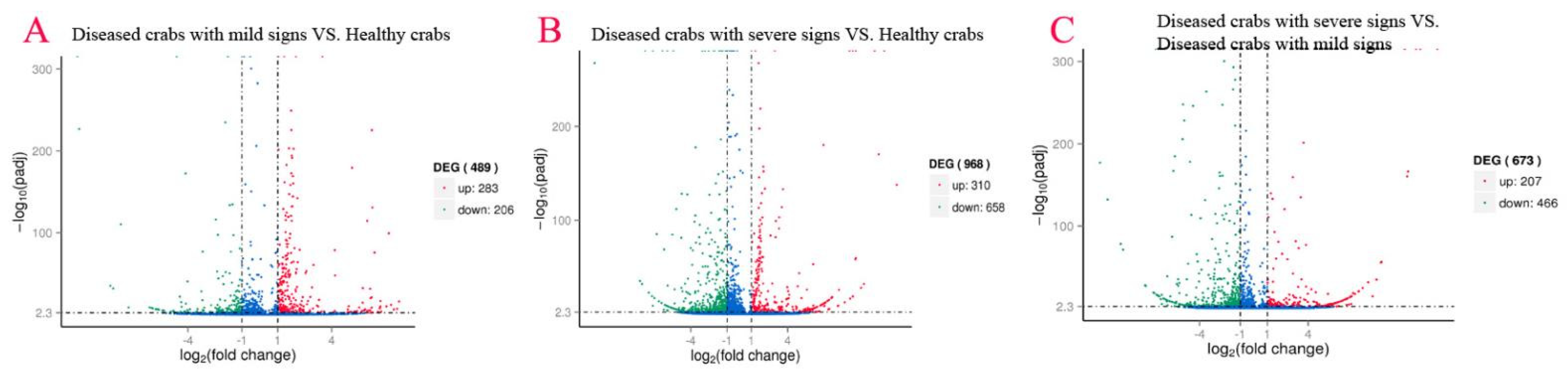 Biology 10 00462 g004
