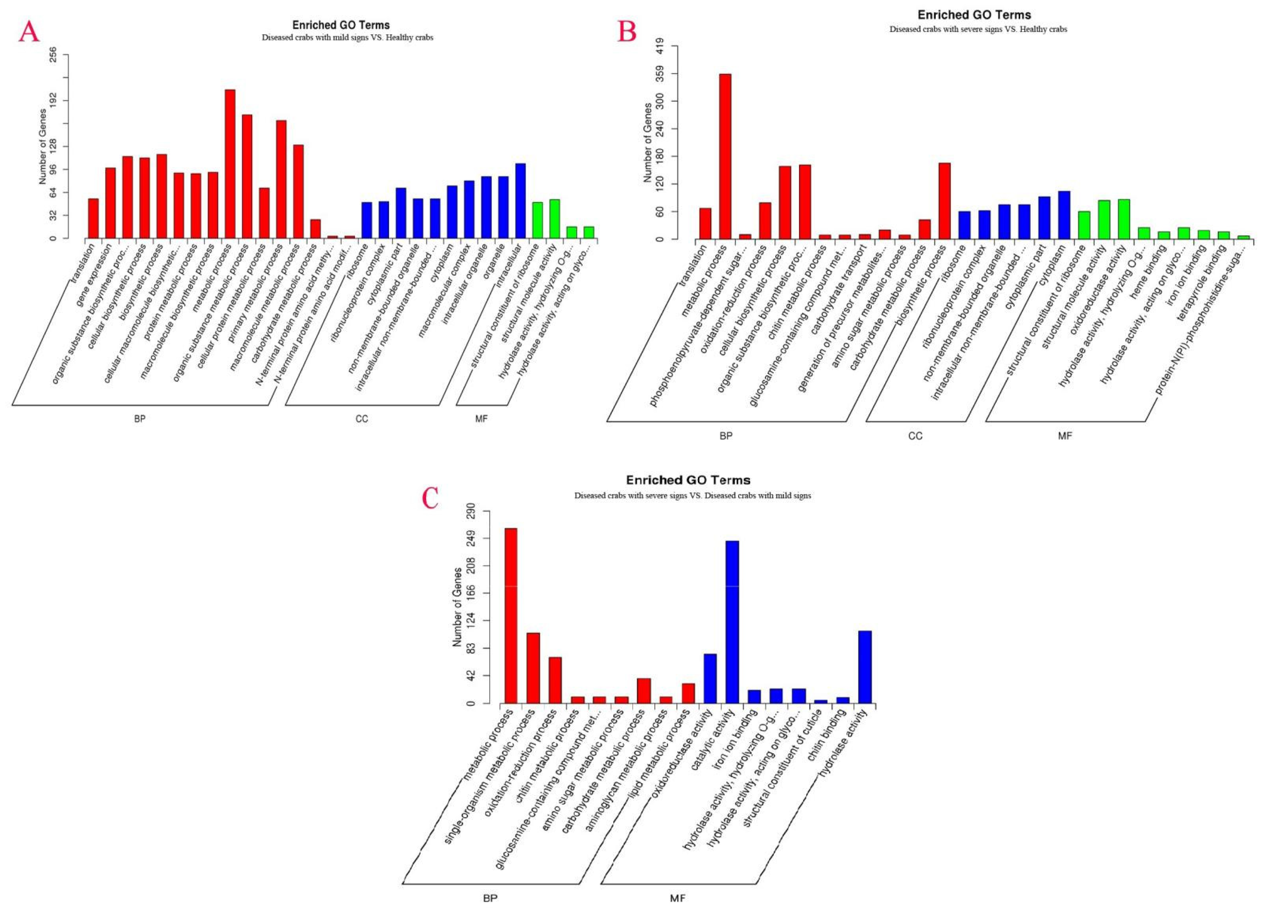 Biology 10 00462 g006