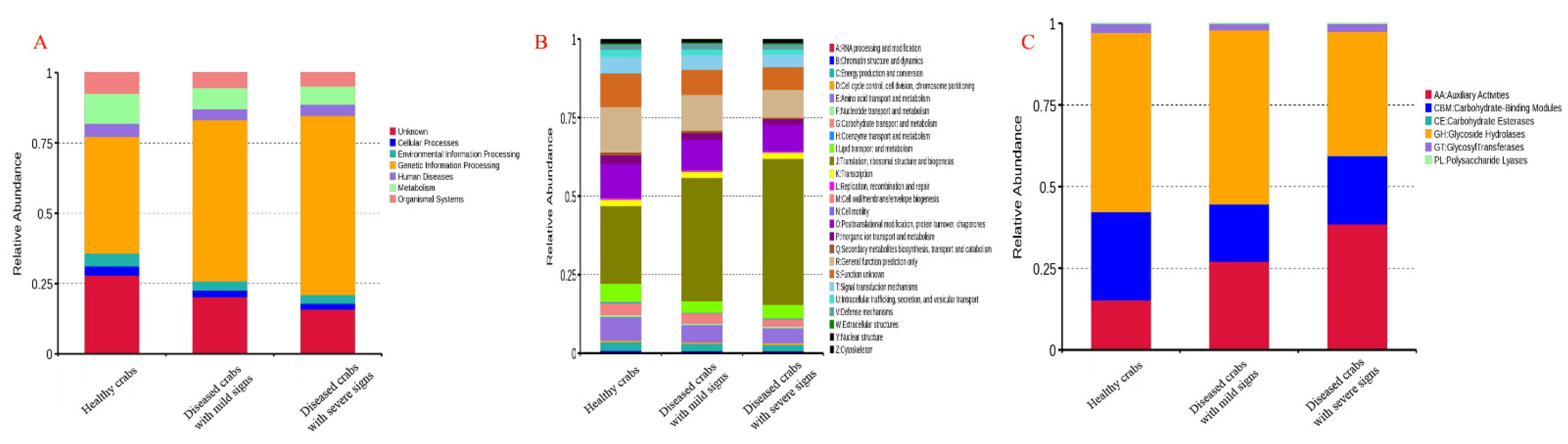 Biology 10 00462 g008