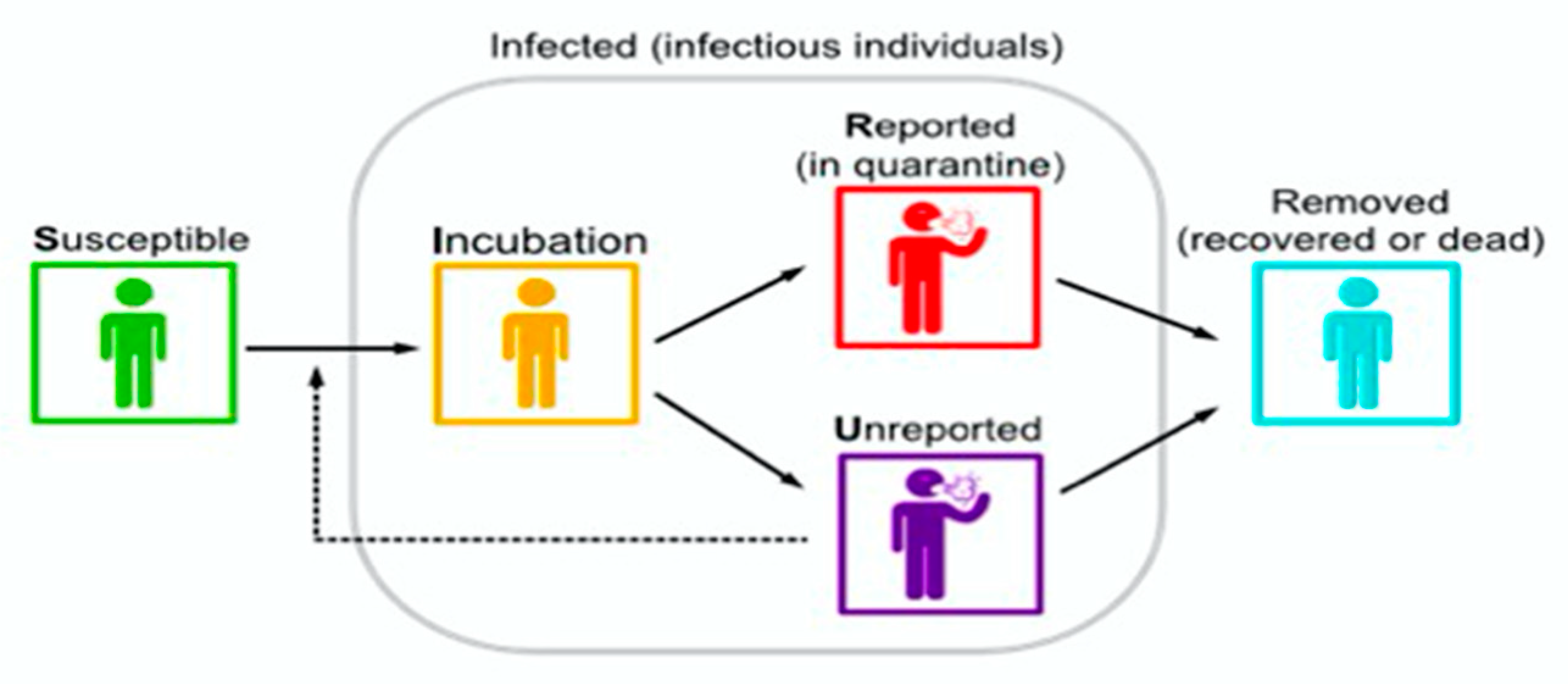 Biology 10 00463 g002 Biology 10 00463 g002