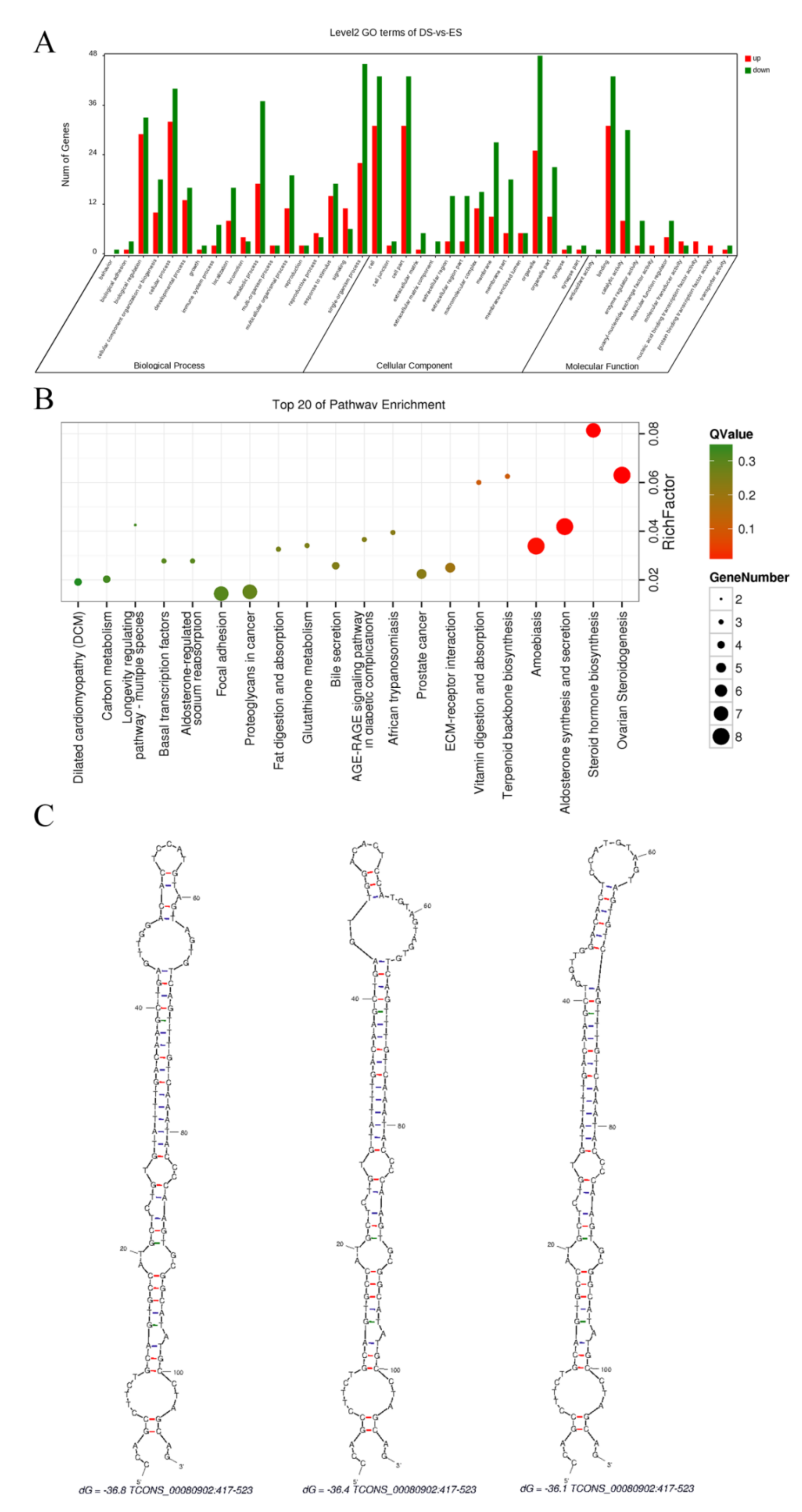 Biology 10 00464 g004 Biology 10 00464 g004