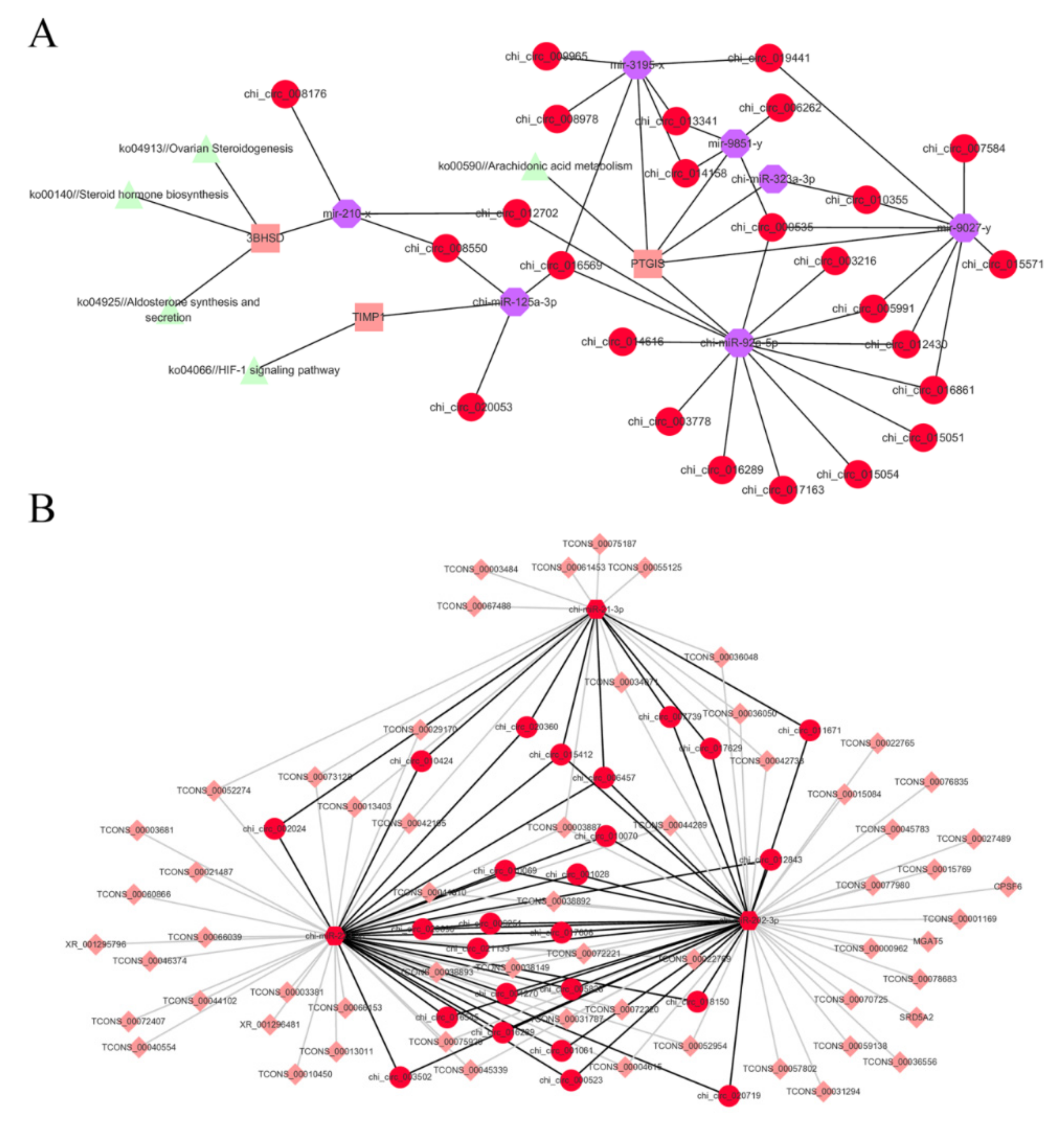 Biology 10 00464 g005 Biology 10 00464 g005