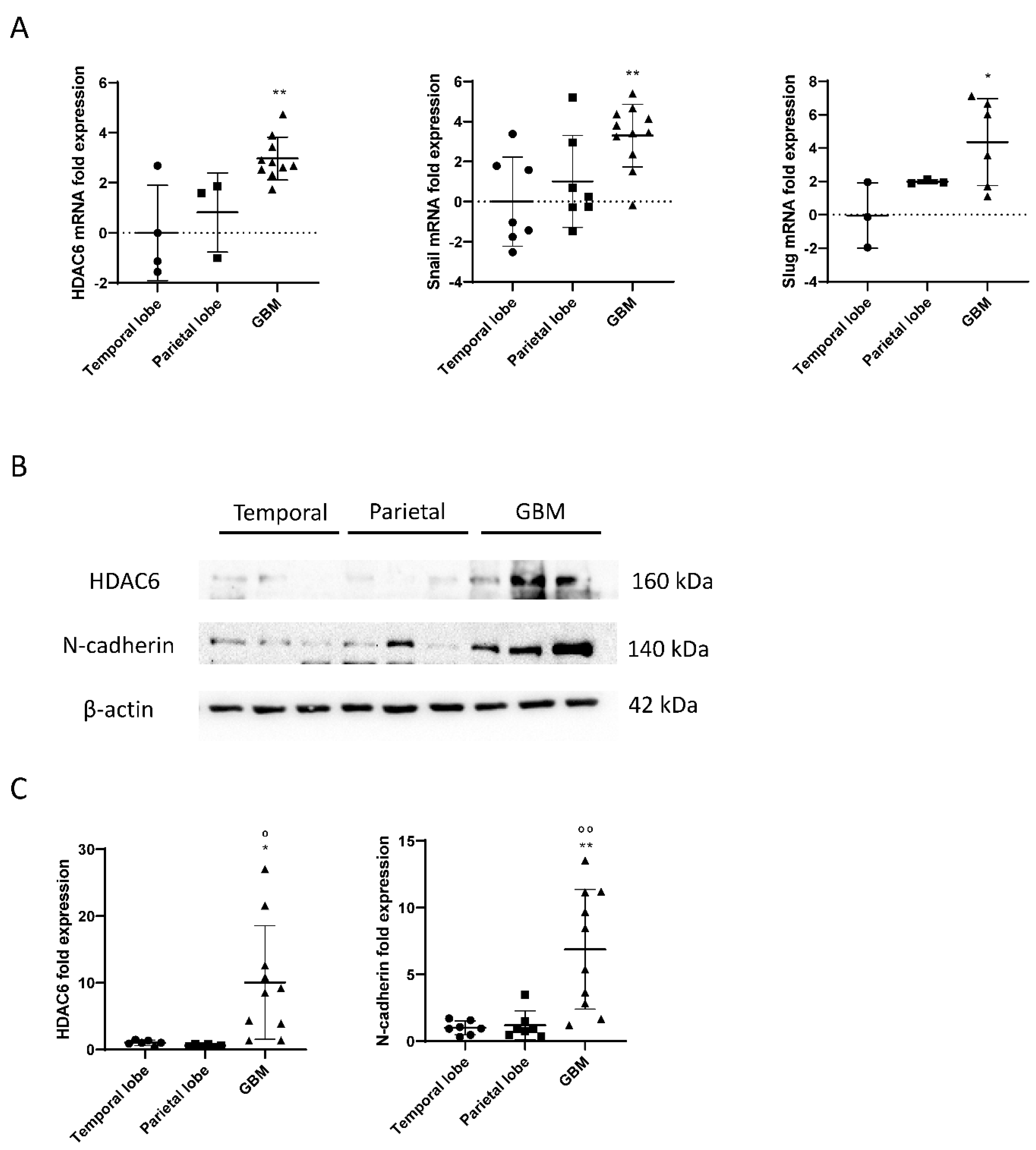 Biology 10 00467 g001