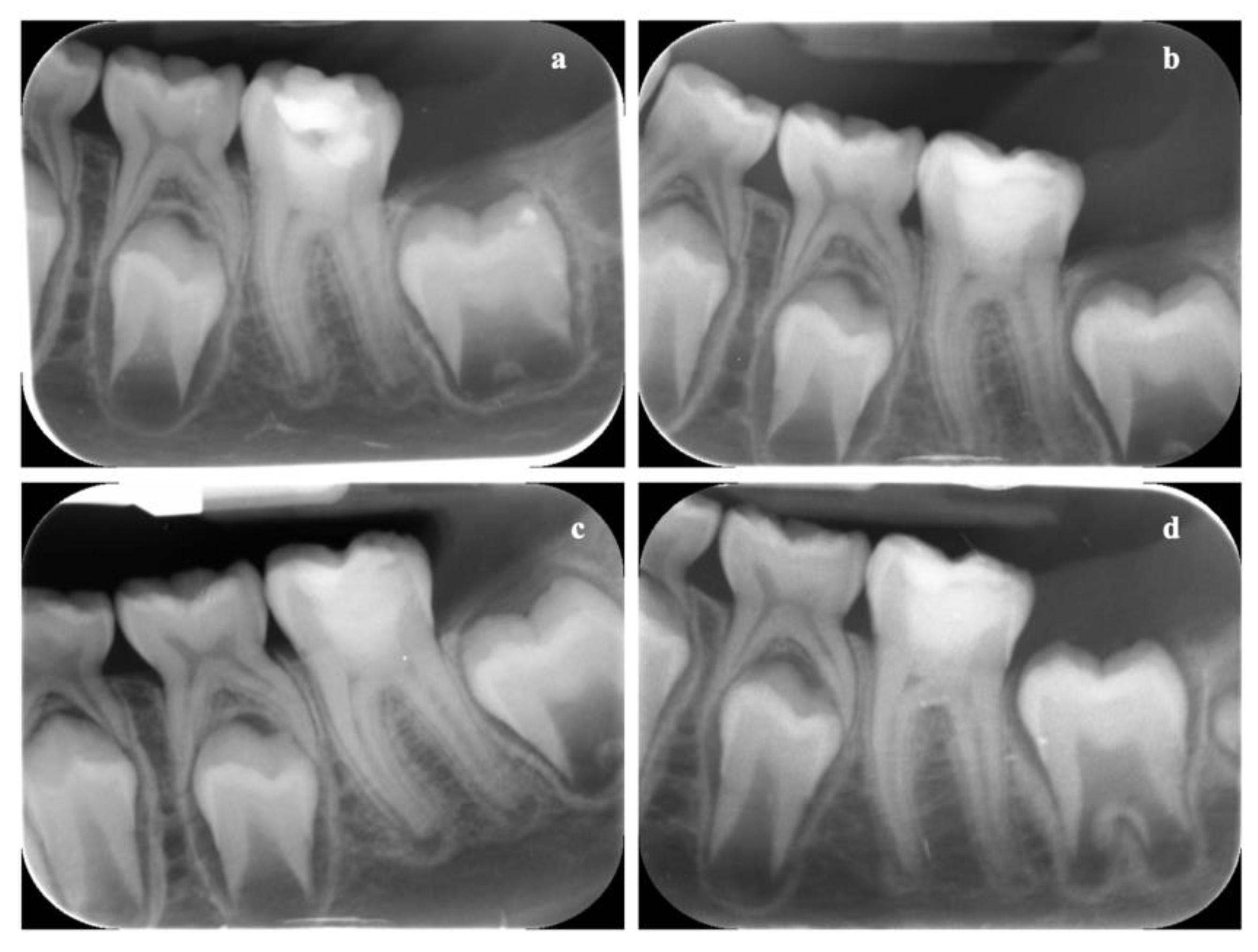 Biology 10 00470 g010 Biology 10 00470 g010