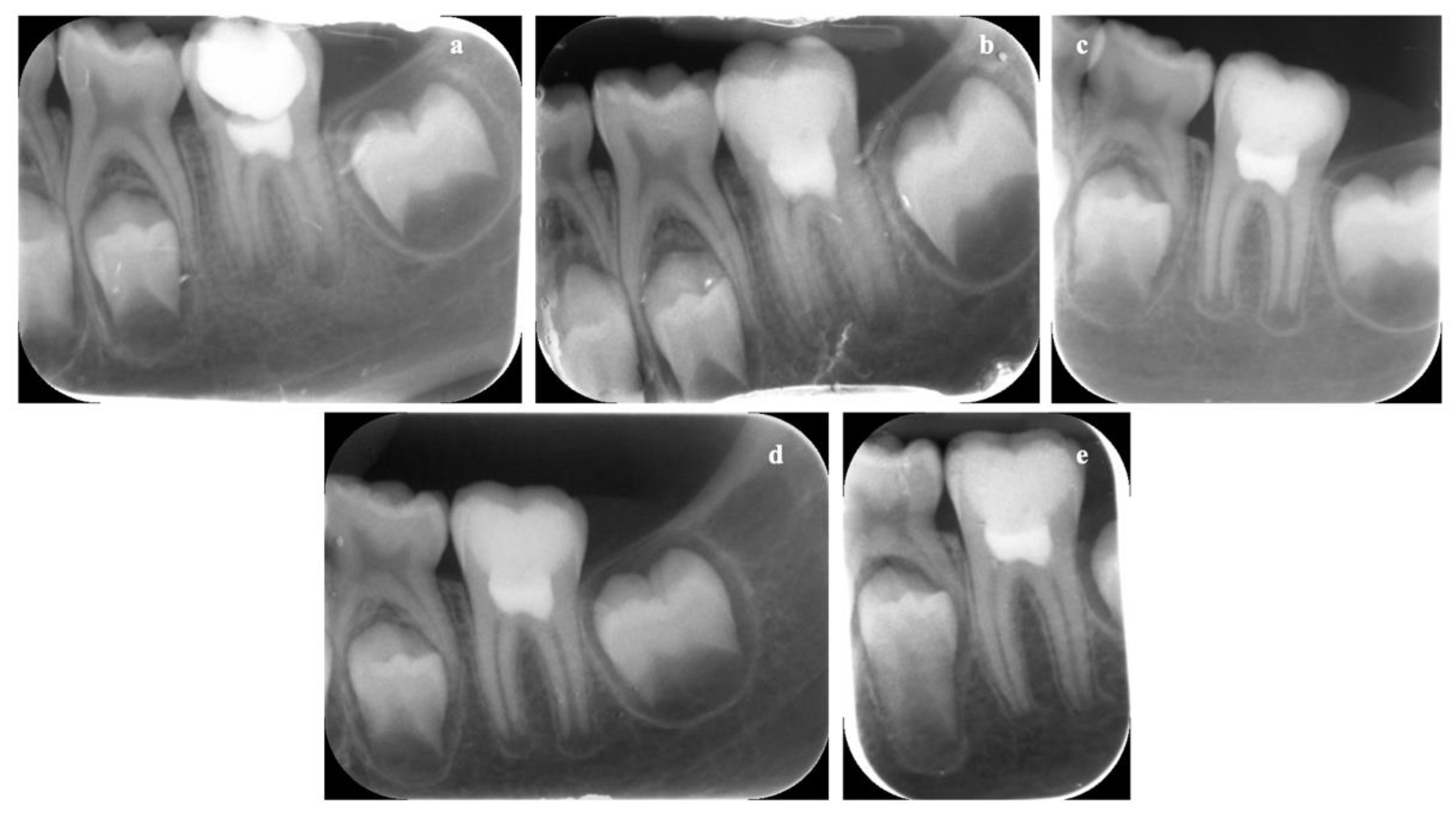 Biology 10 00470 g011 Biology 10 00470 g011