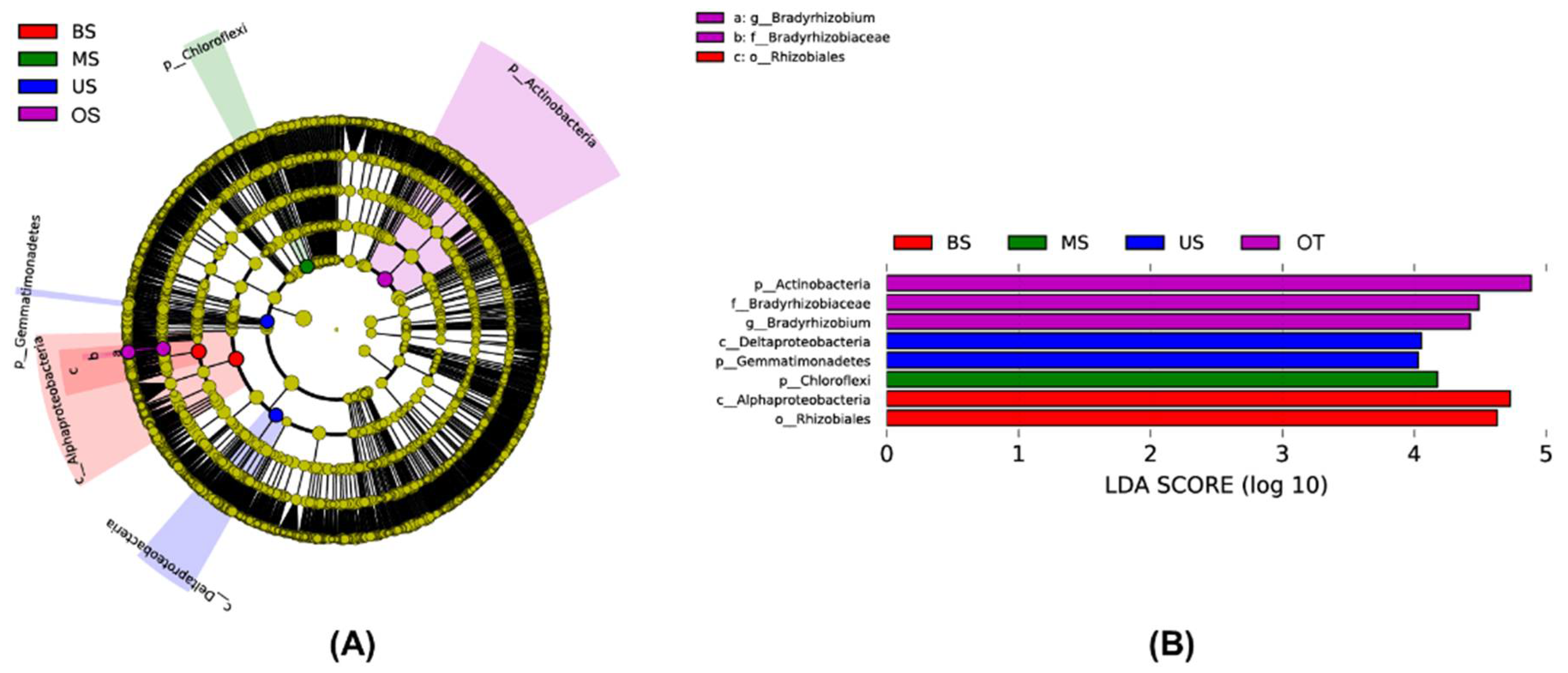 Biology 10 00474 g002 Biology 10 00474 g002