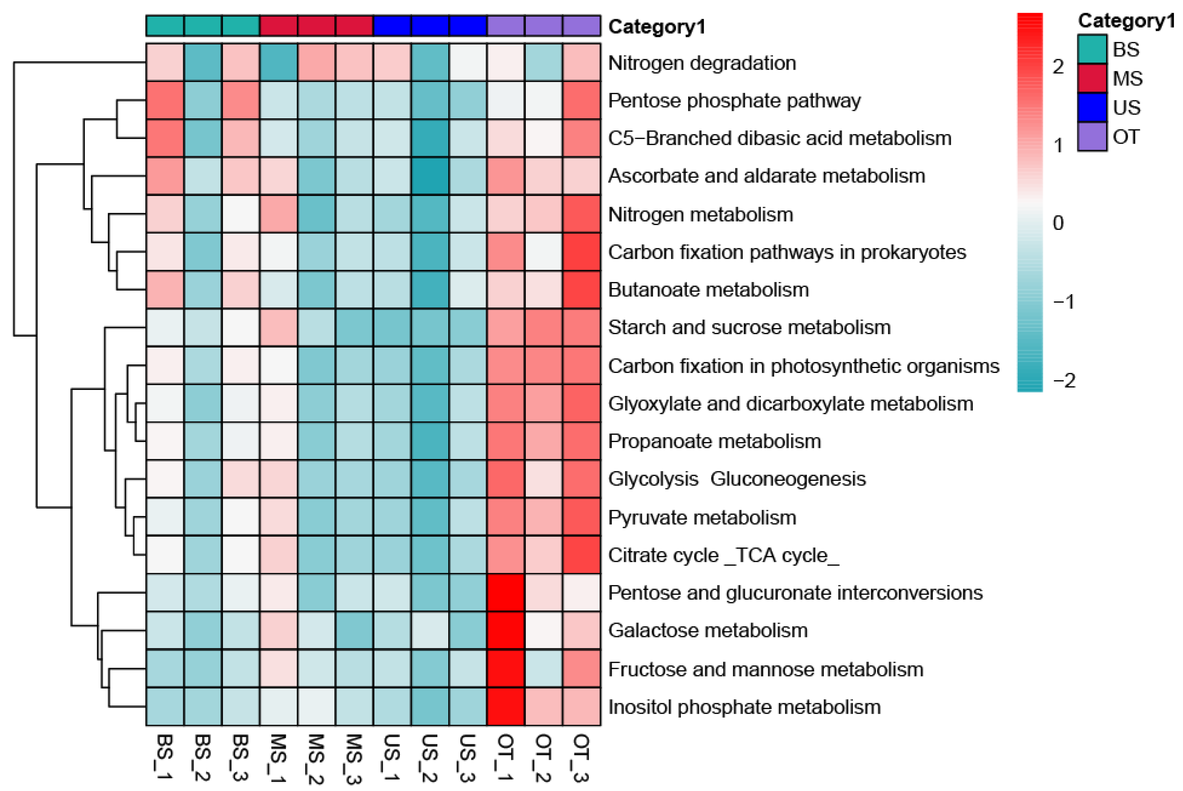 Biology 10 00474 g005 Biology 10 00474 g005