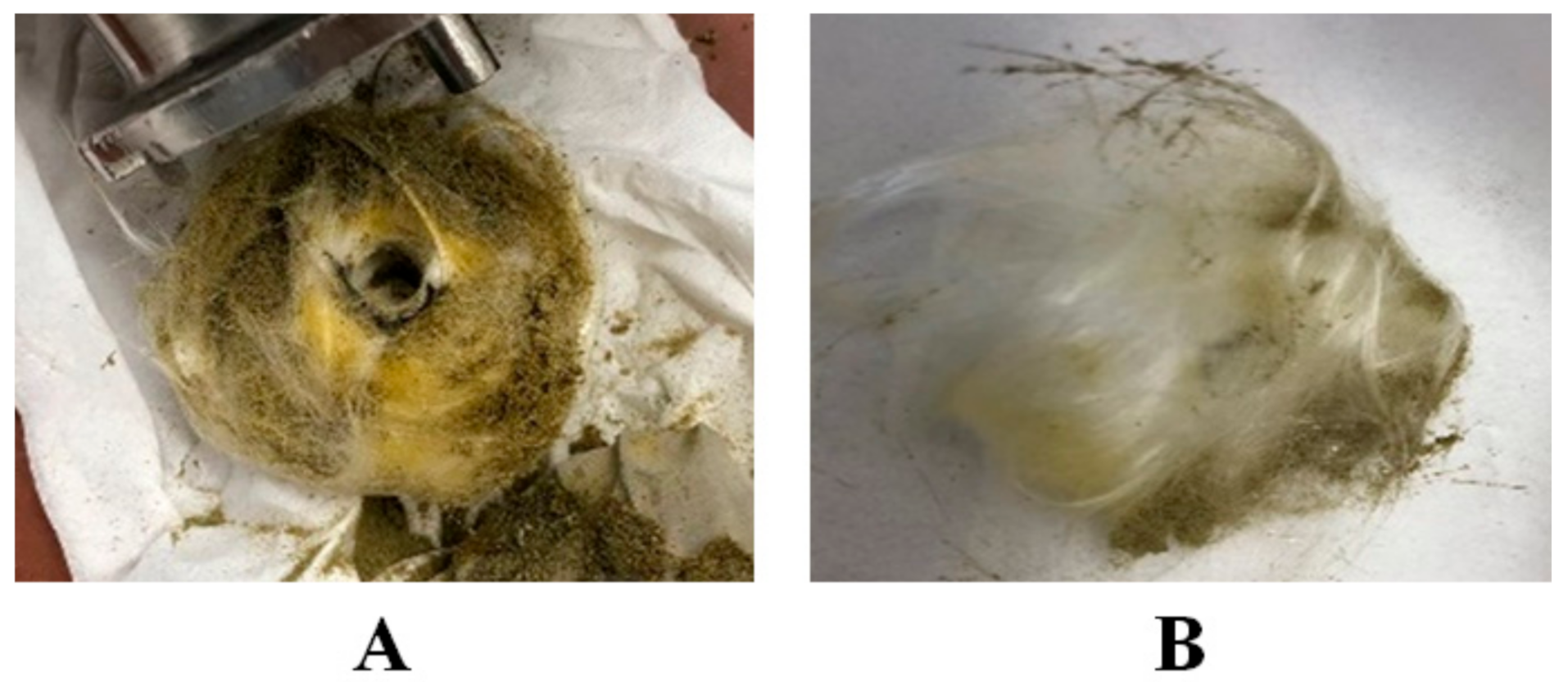 Biology 10 00481 g005