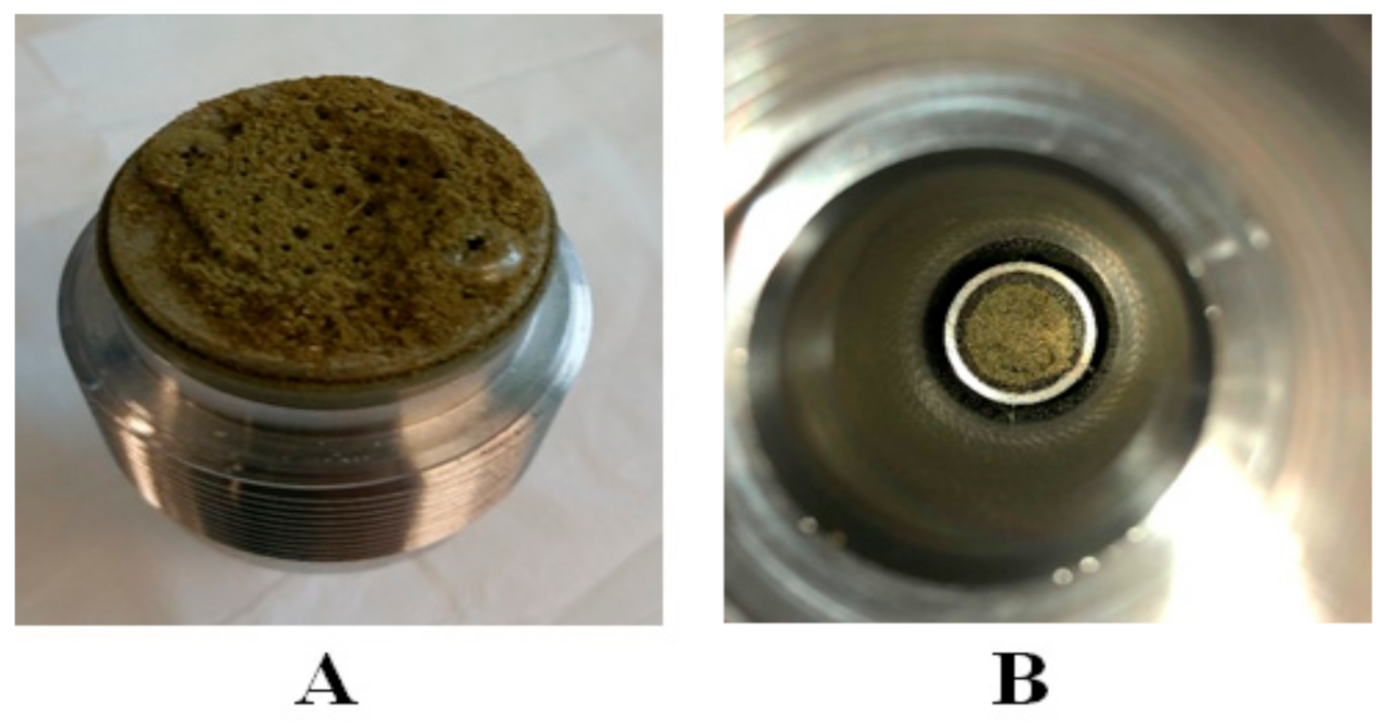 Biology 10 00481 g006