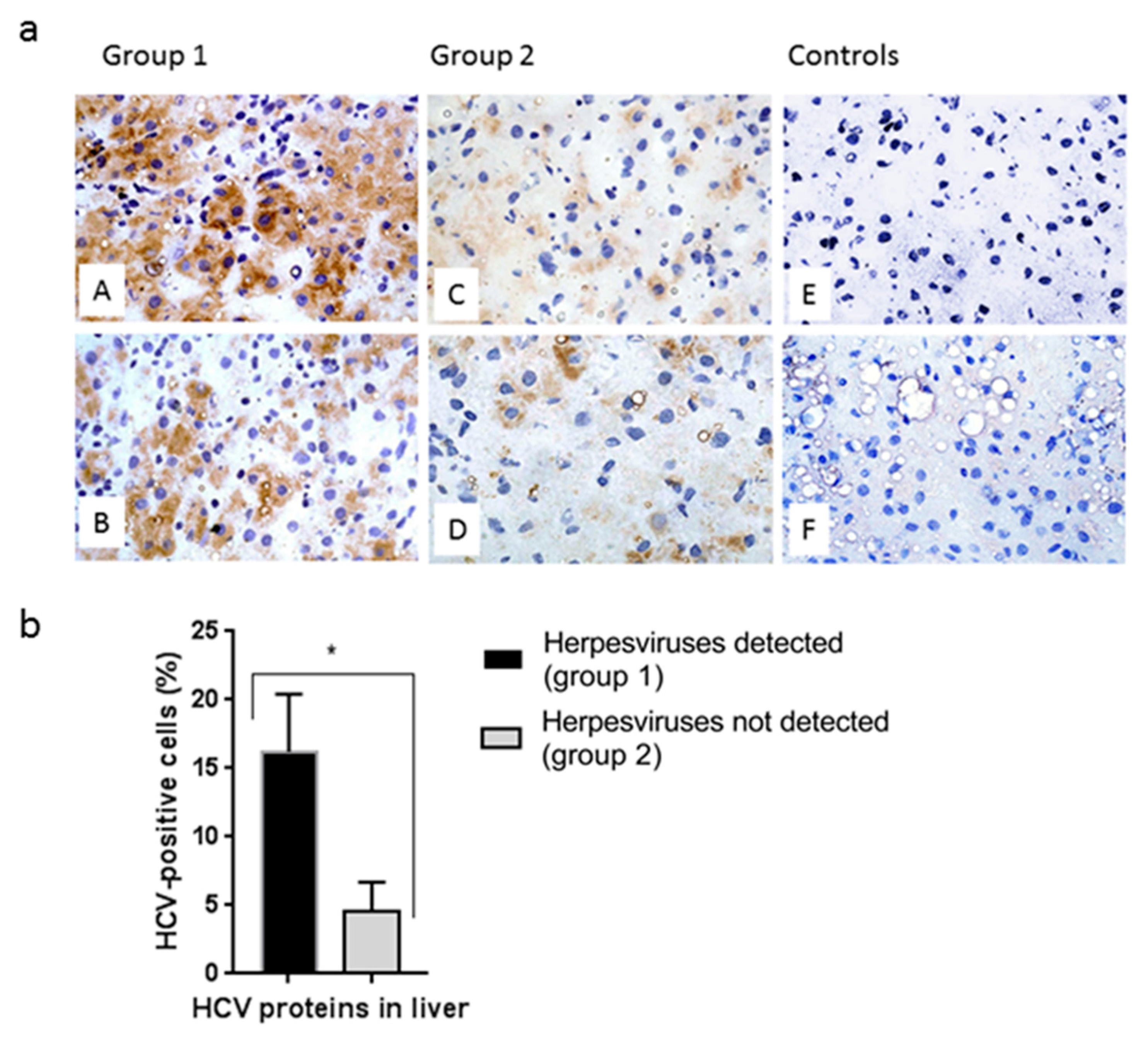 Biology 10 00483 g003