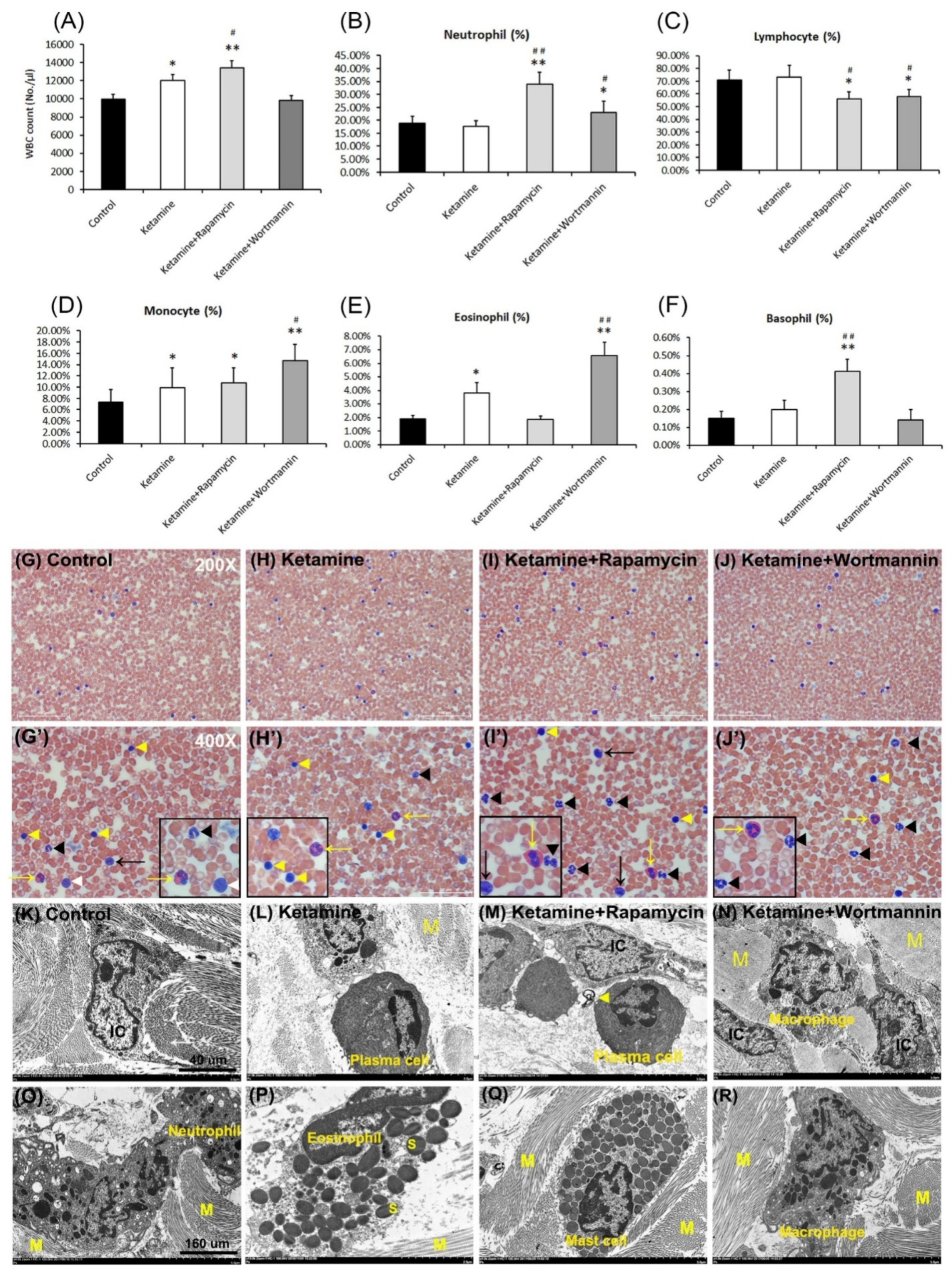 Biology 10 00488 g005 Biology 10 00488 g005