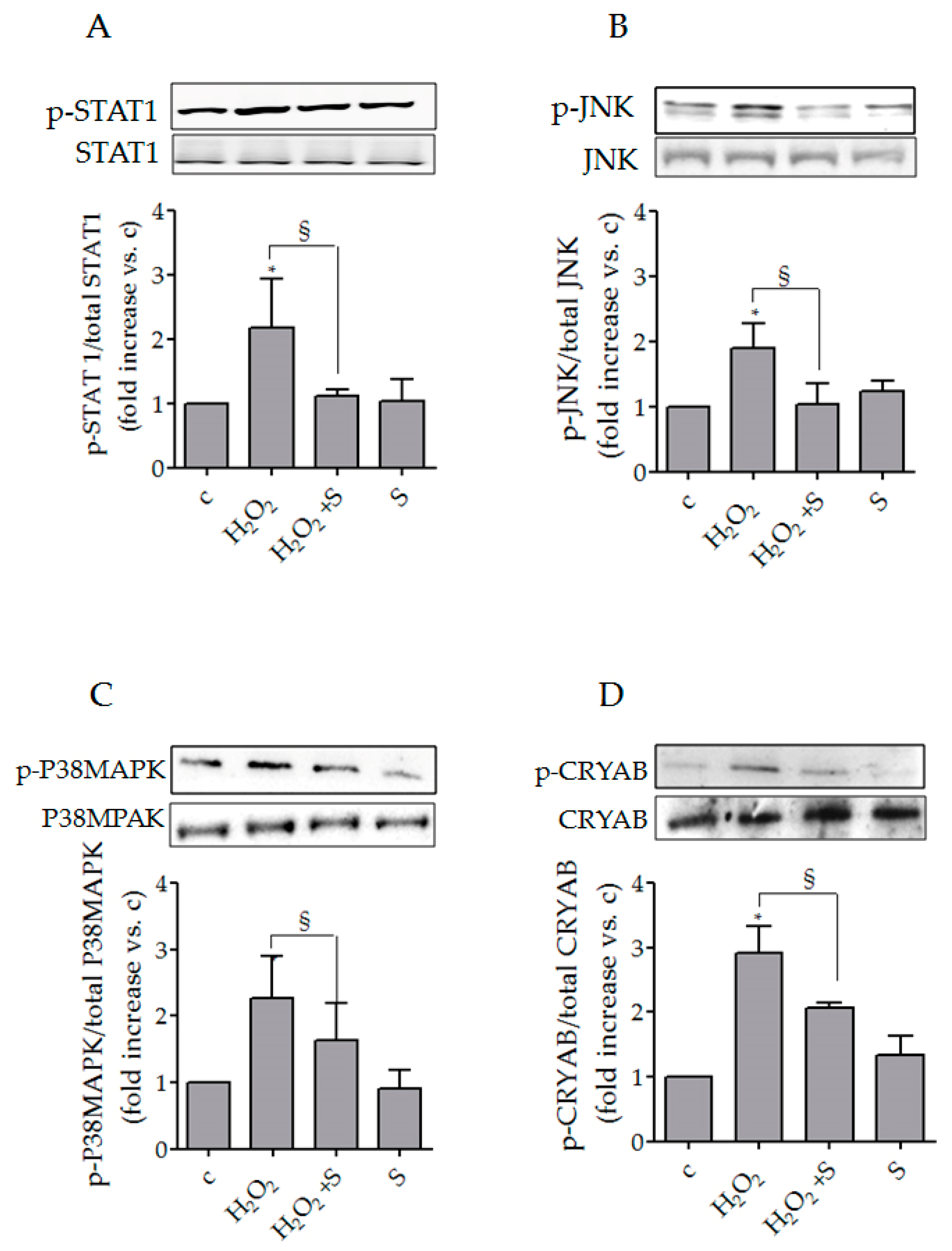 Biology 10 00491 g003