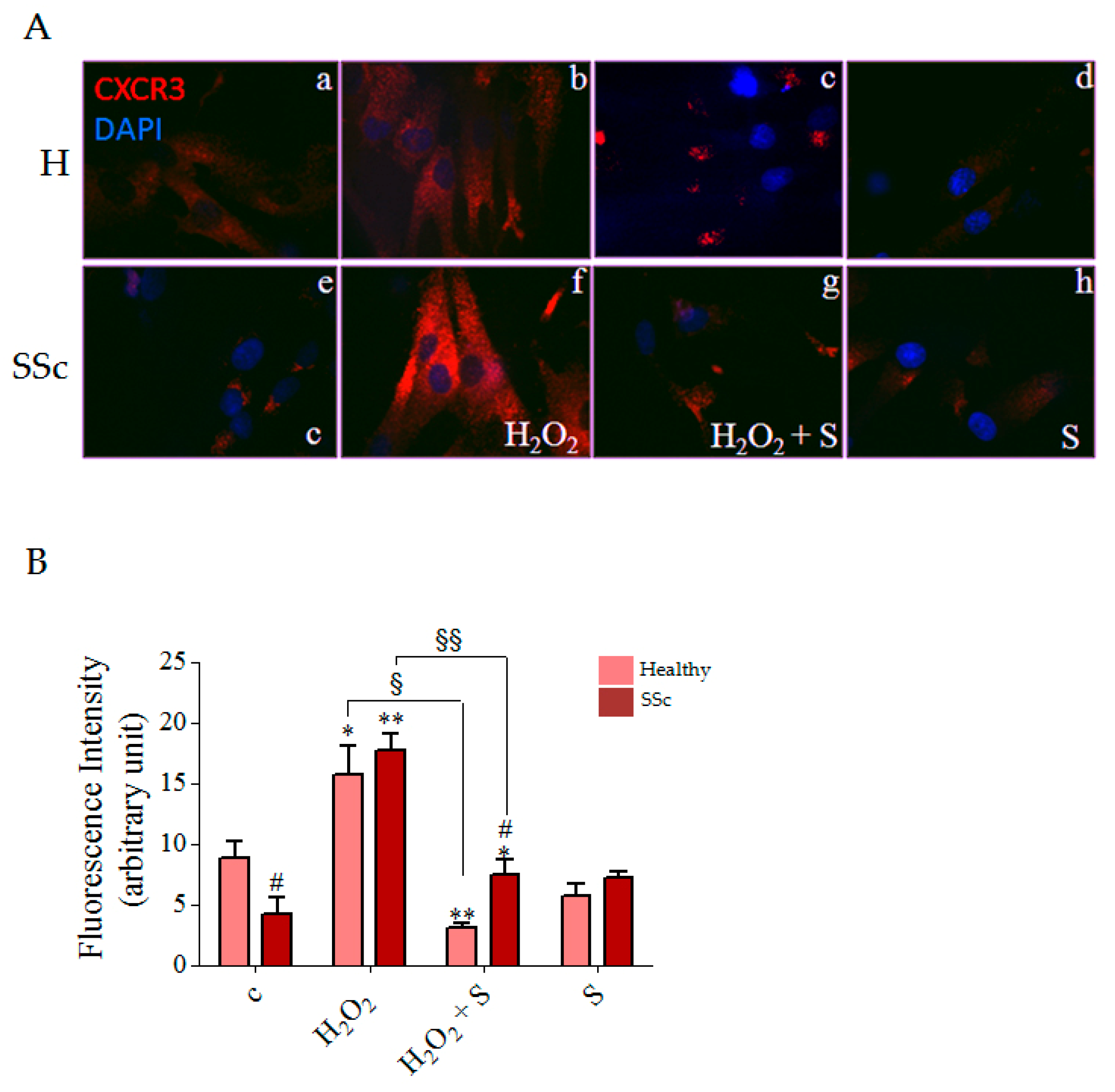 Biology 10 00491 g004