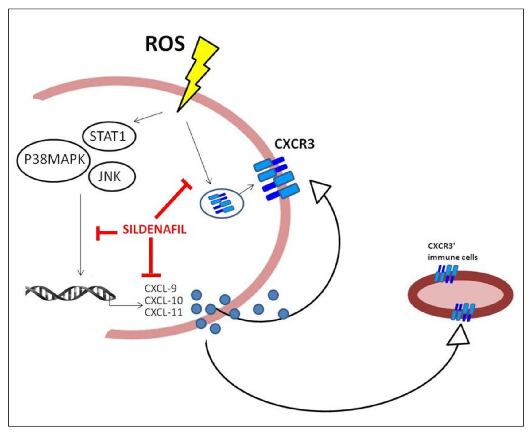 Biology 10 00491 g005