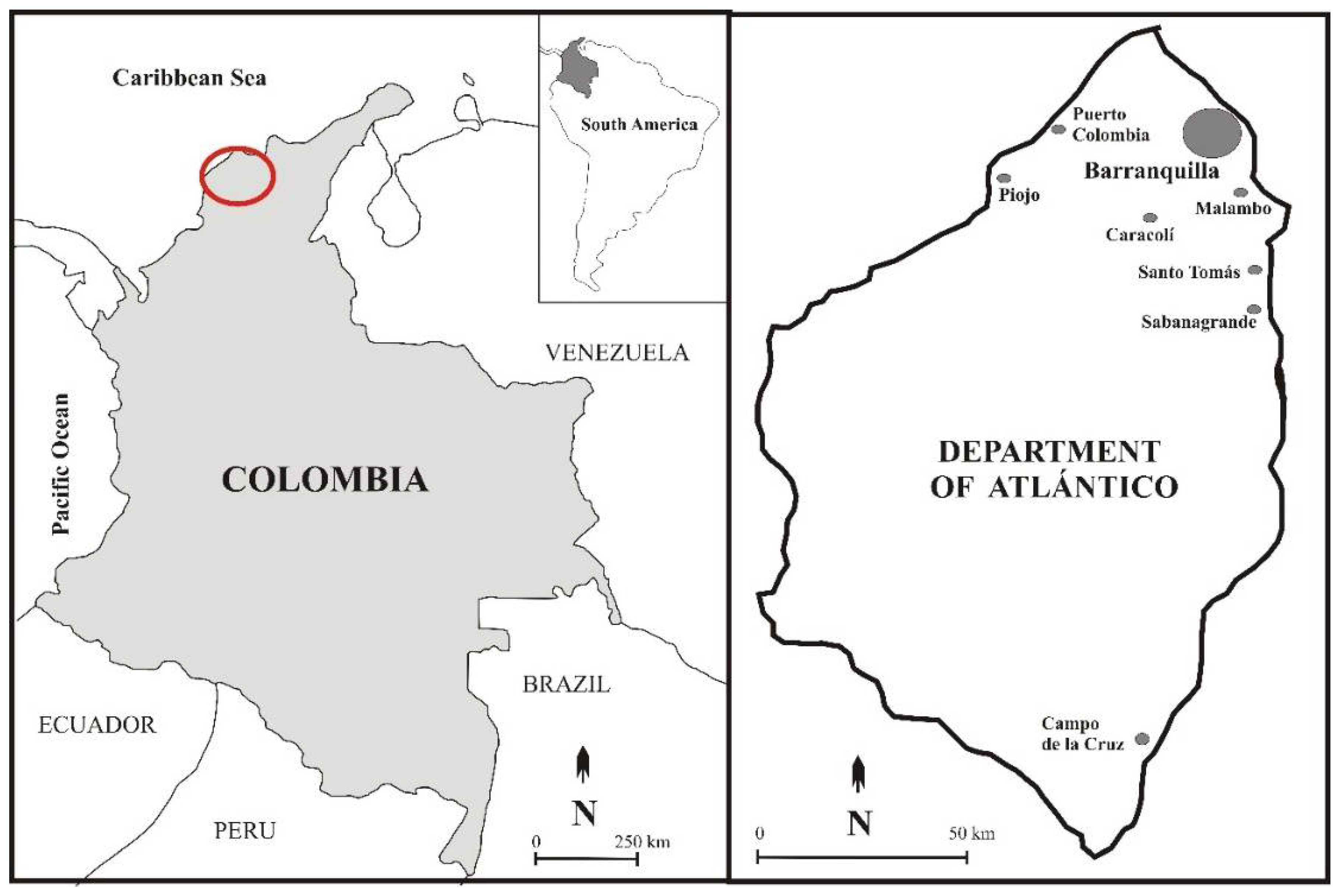 Biology 10 00492 g001 Biology 10 00492 g001
