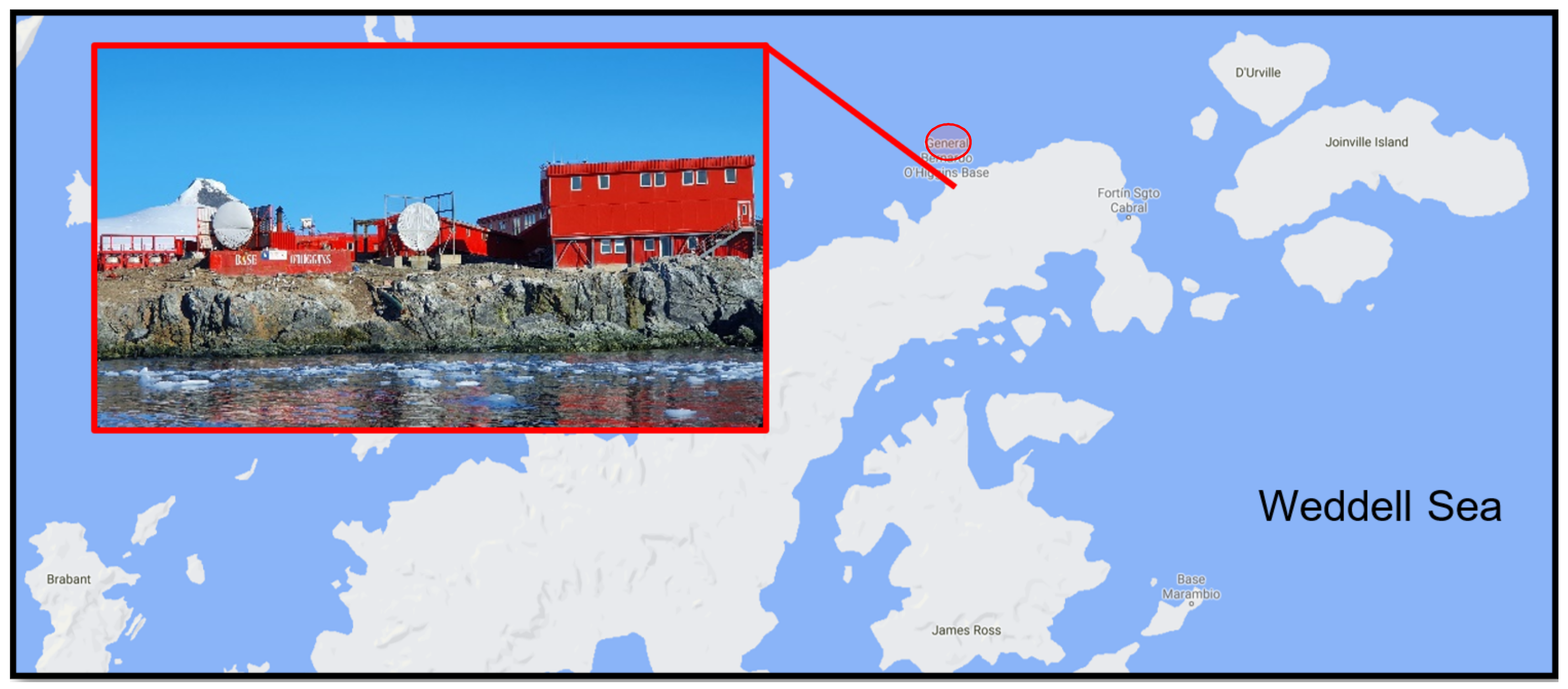 Biology 10 00493 g001 Biology 10 00493 g001