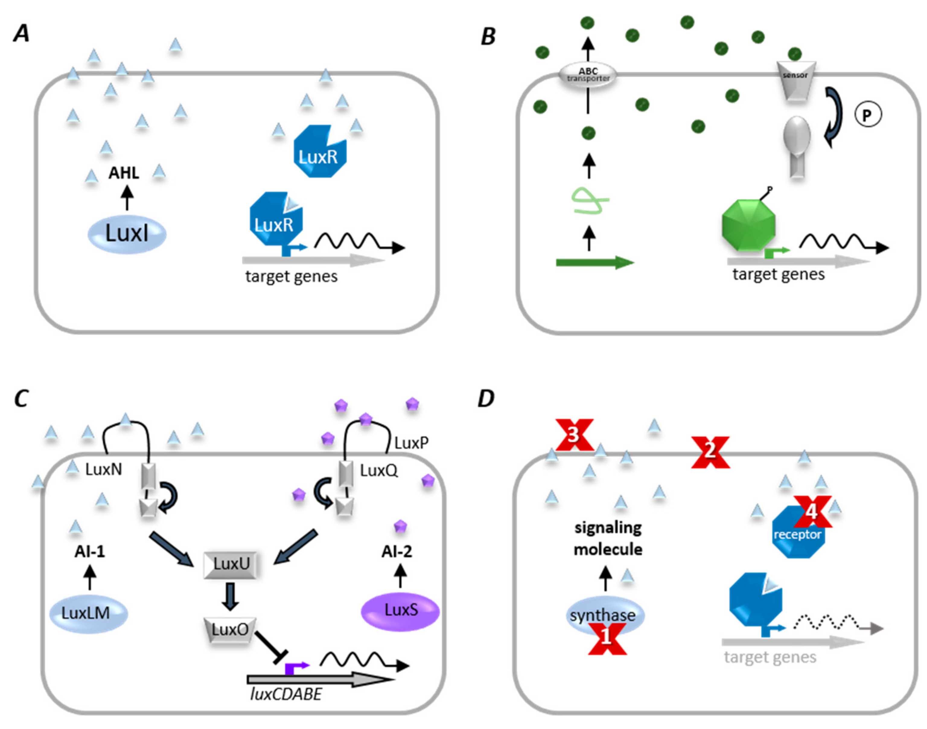 Biology 10 00496 g006