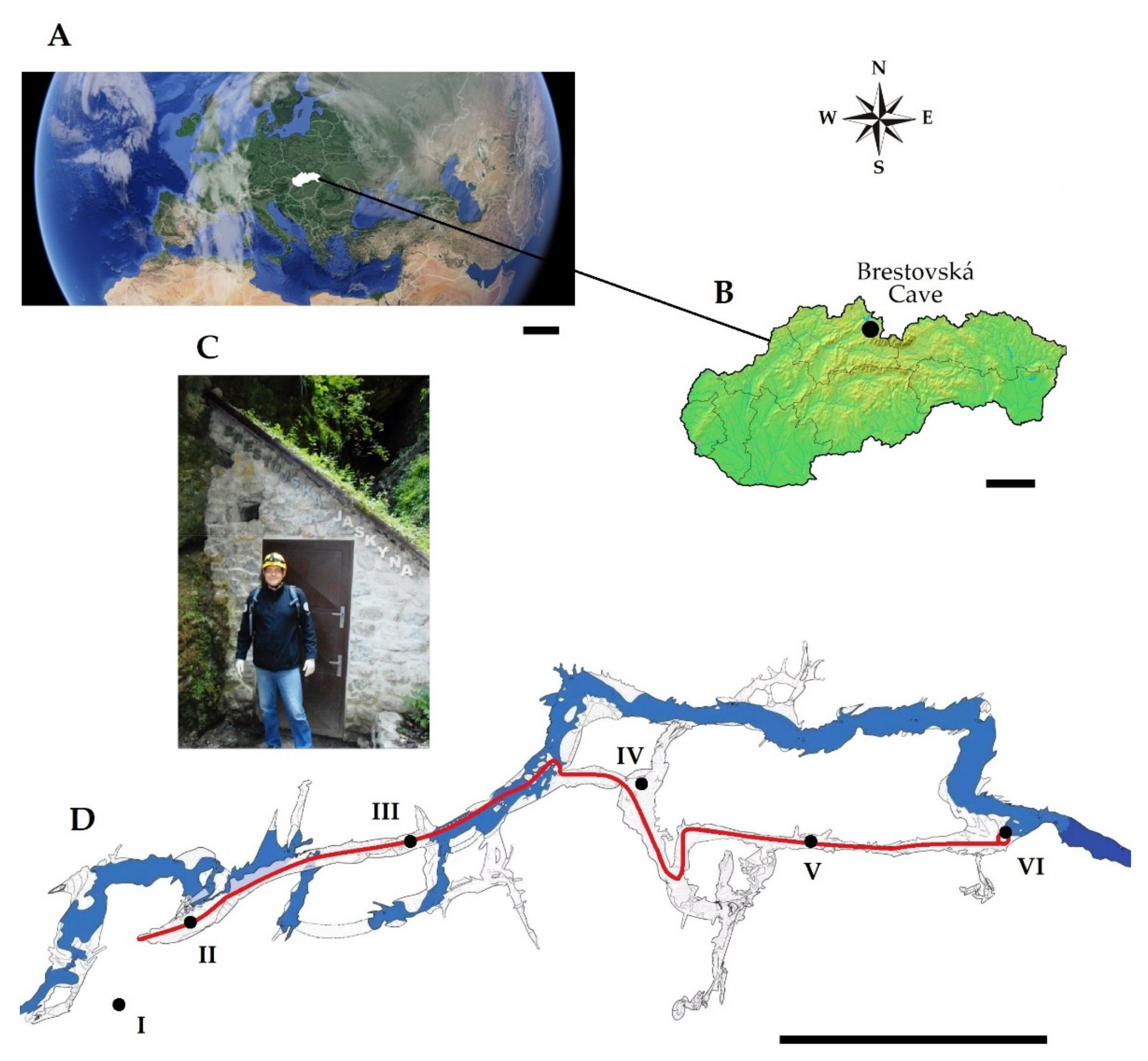 Biology 10 00497 g001 Biology 10 00497 g001