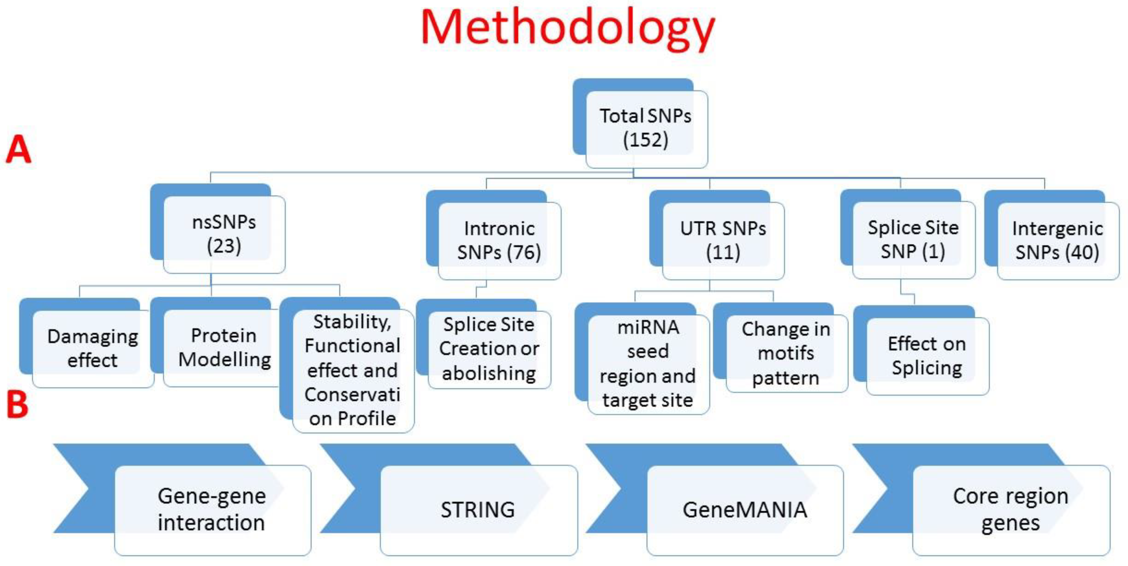 Biology 10 00501 g001 Biology 10 00501 g001