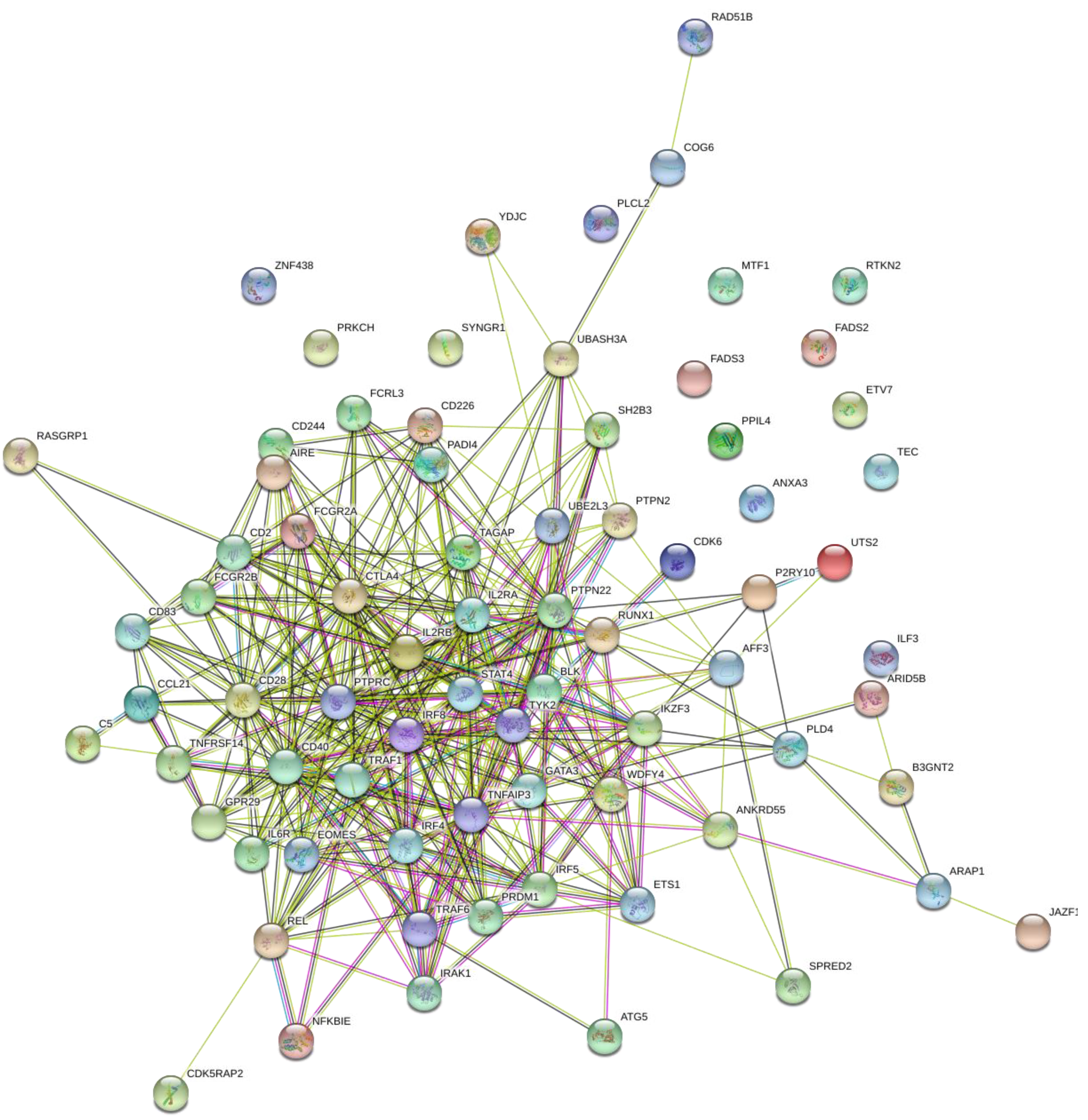 Biology 10 00501 g004 Biology 10 00501 g004