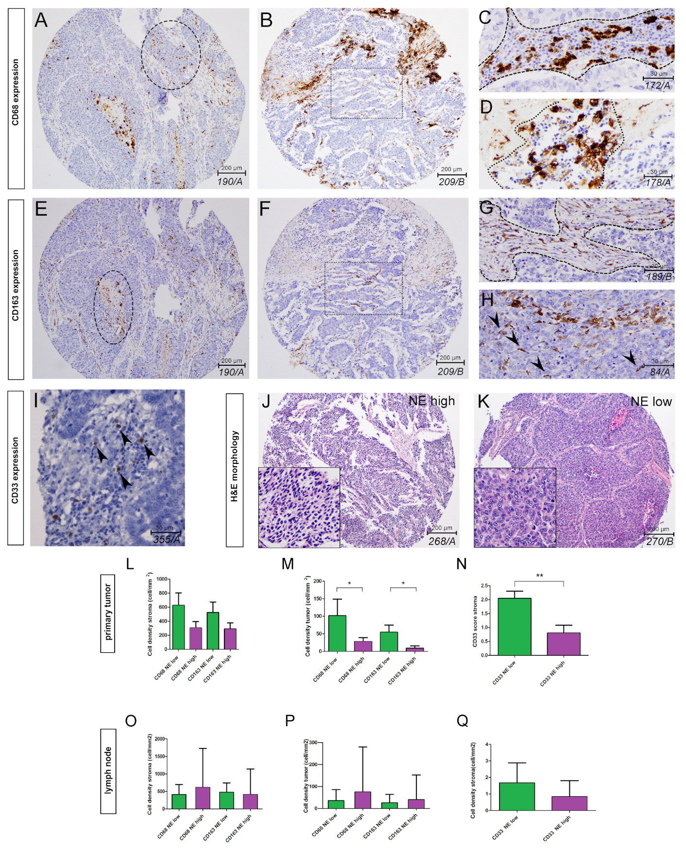 Biology 10 00502 g001 Biology 10 00502 g001