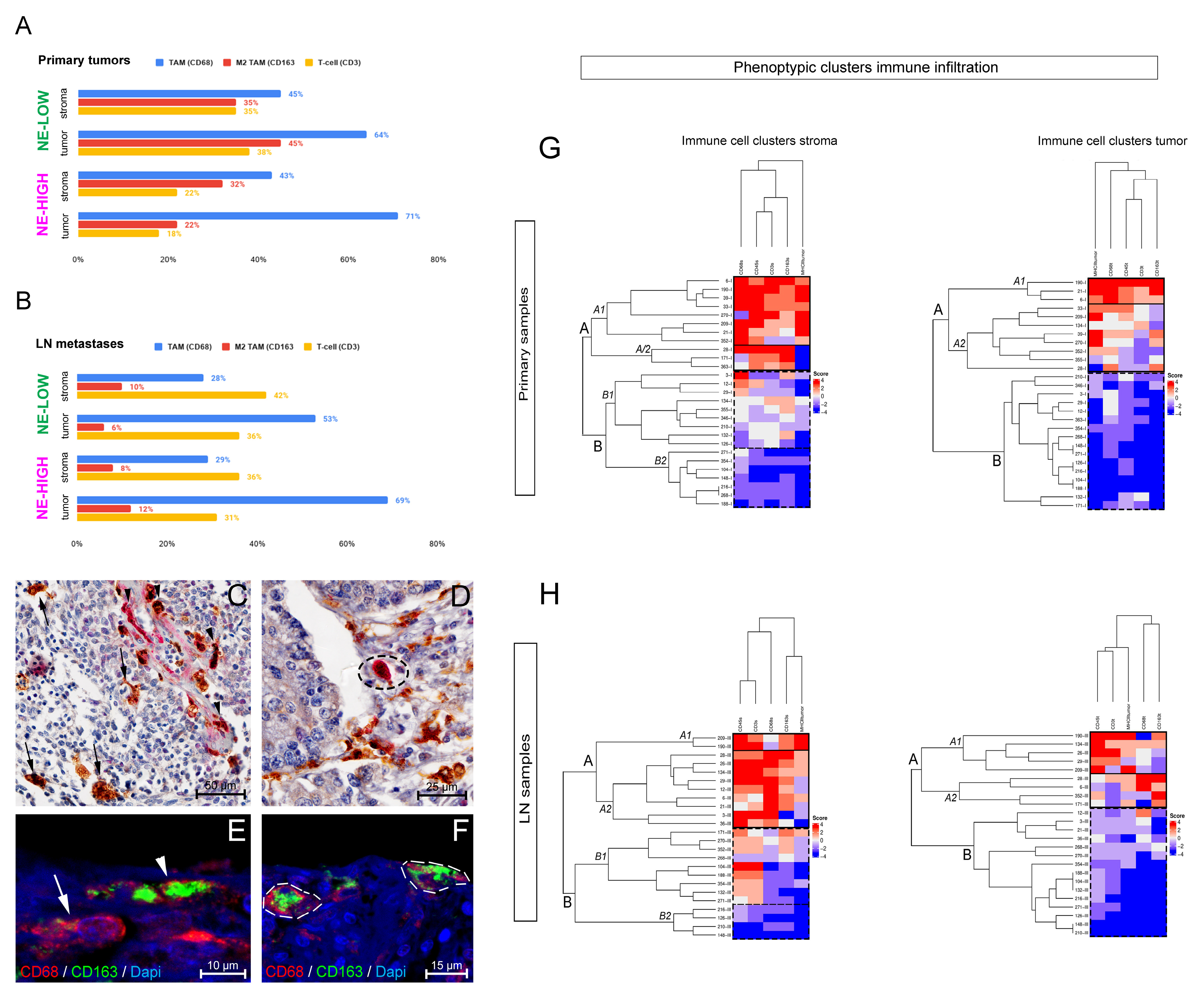 Biology 10 00502 g002 Biology 10 00502 g002