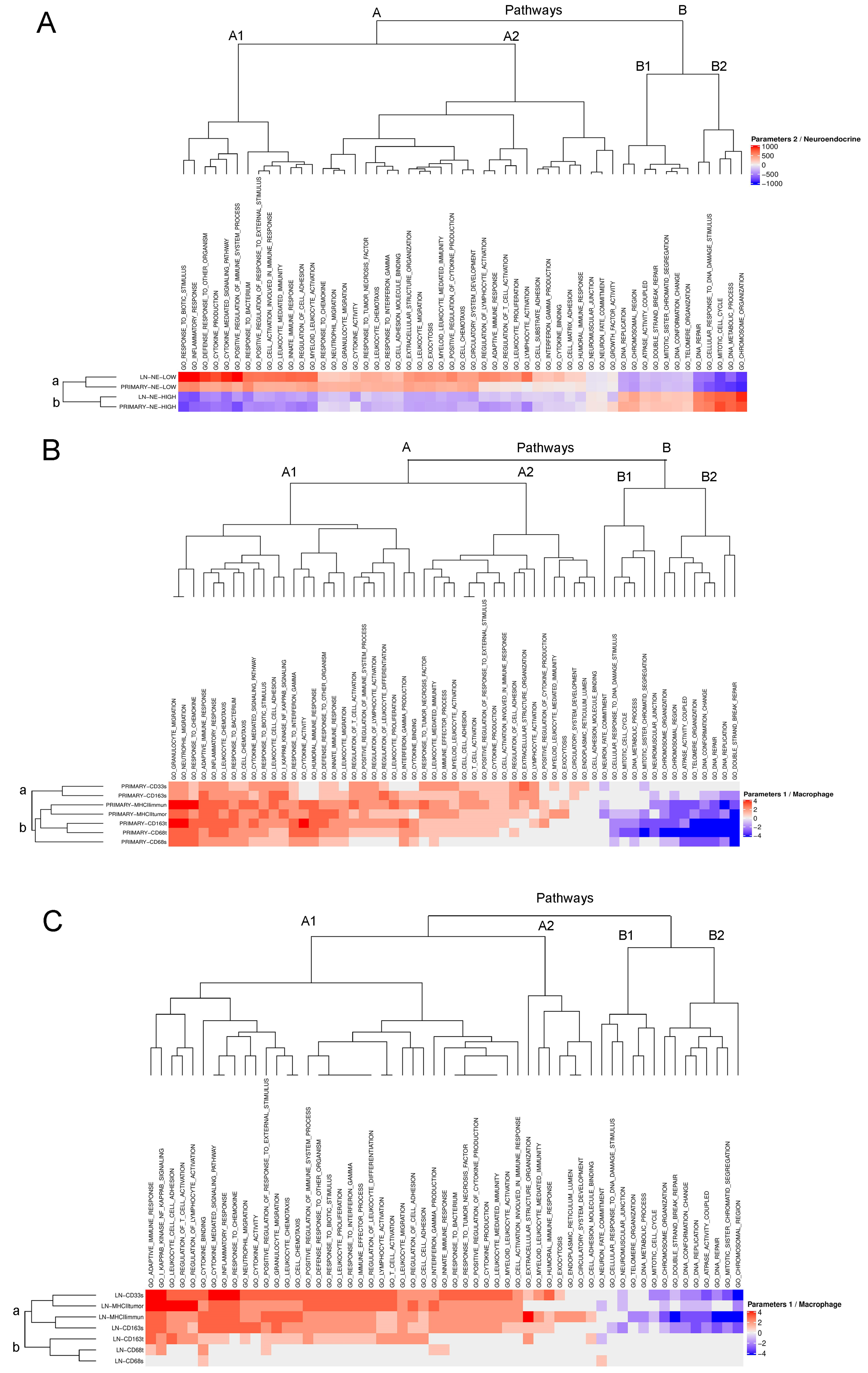 Biology 10 00502 g003 Biology 10 00502 g003