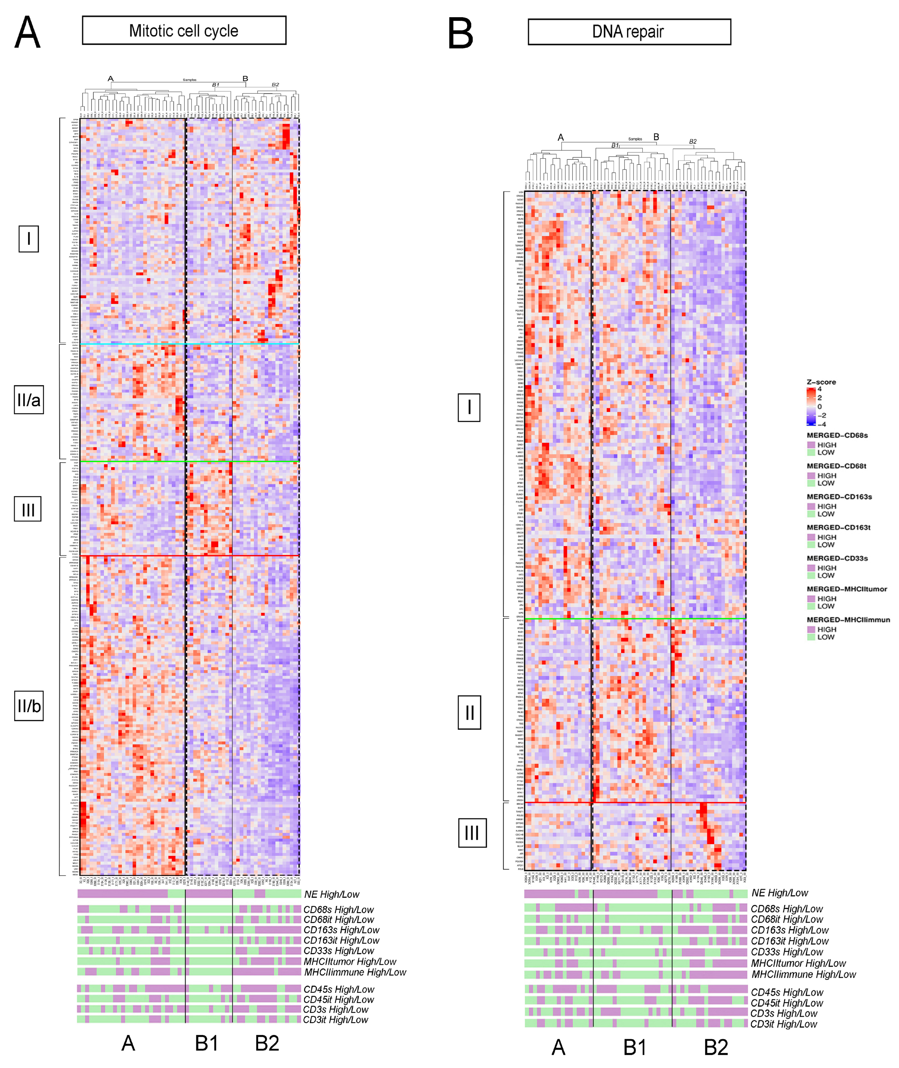 Biology 10 00502 g004 Biology 10 00502 g004