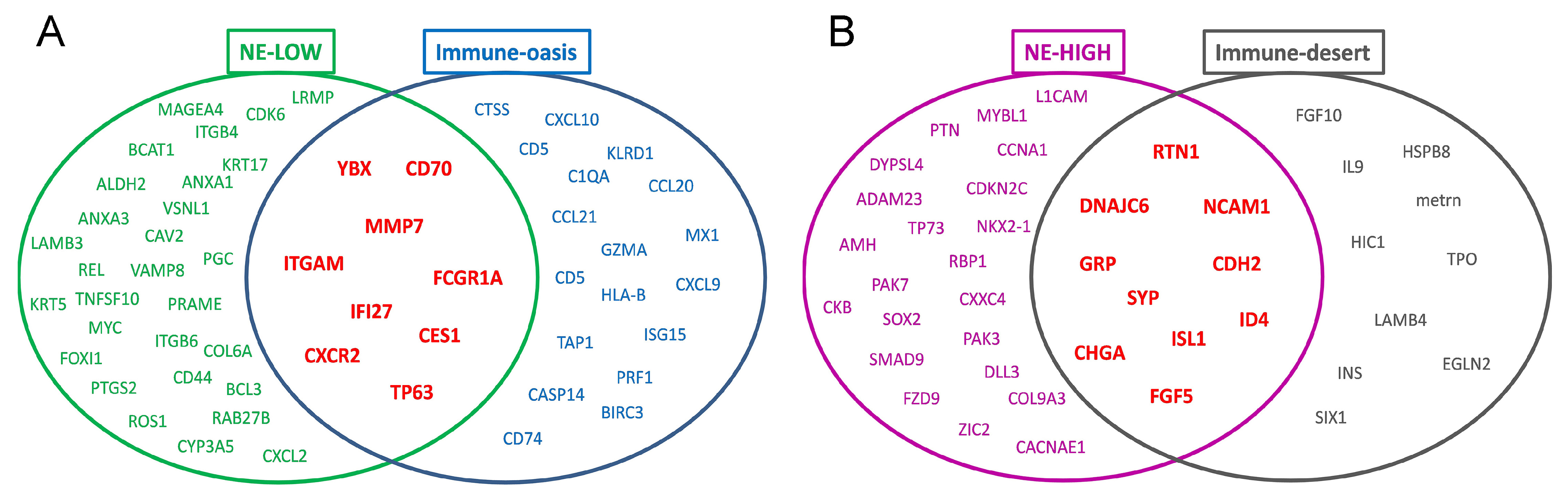 Biology 10 00502 g008 Biology 10 00502 g008