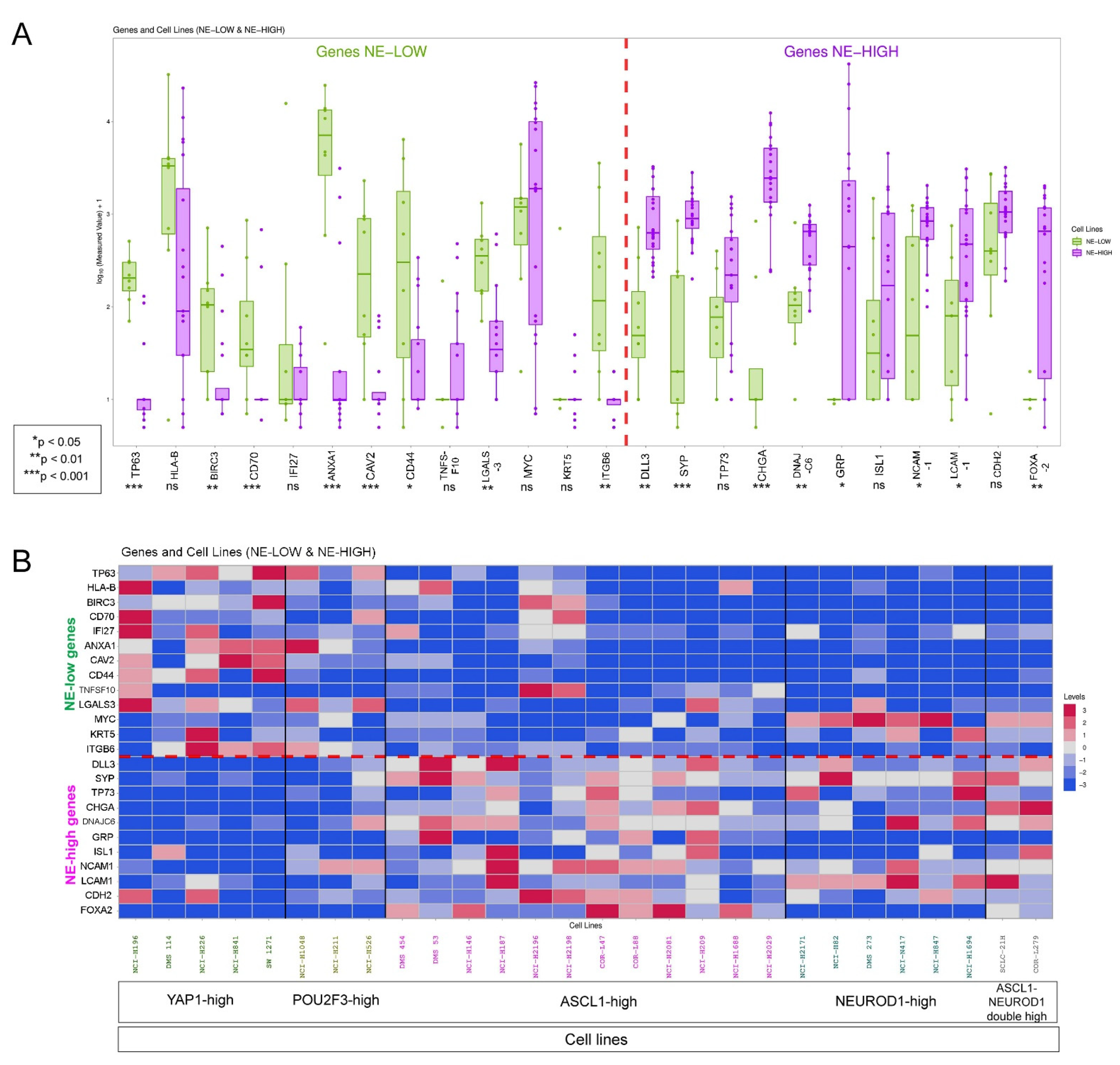 Biology 10 00502 g009 Biology 10 00502 g009