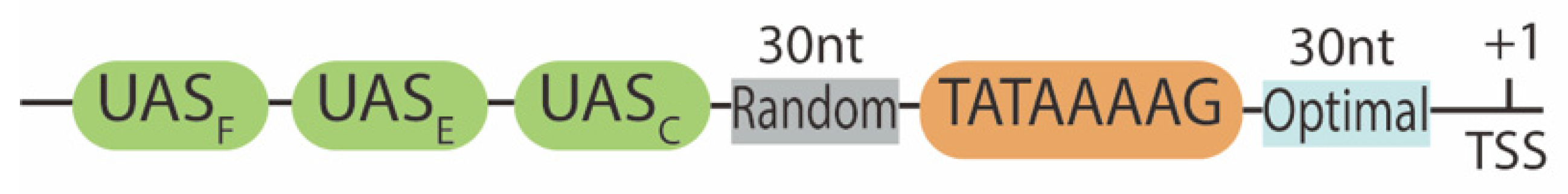 Biology 10 00504 g004 Biology 10 00504 g004