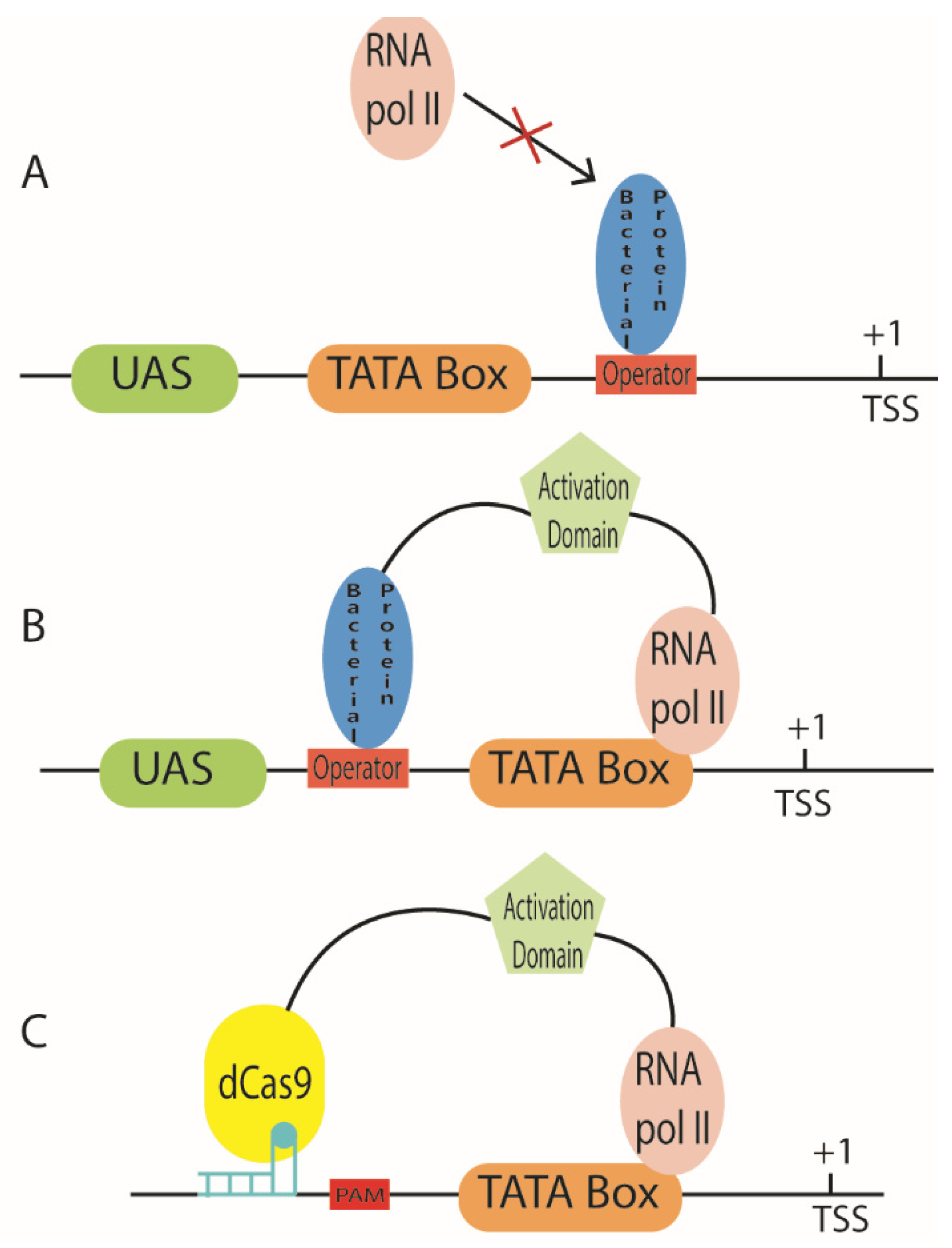 Biology 10 00504 g005 Biology 10 00504 g005