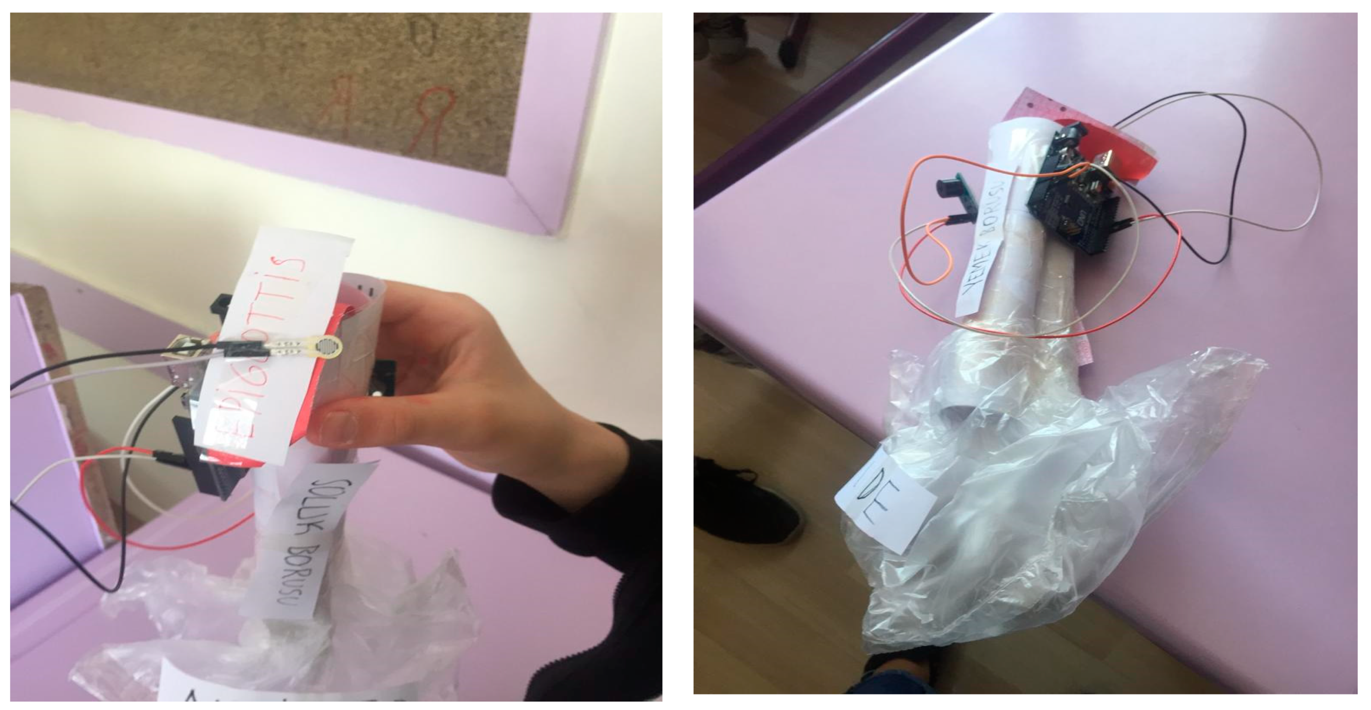 Biology 10 00506 g002