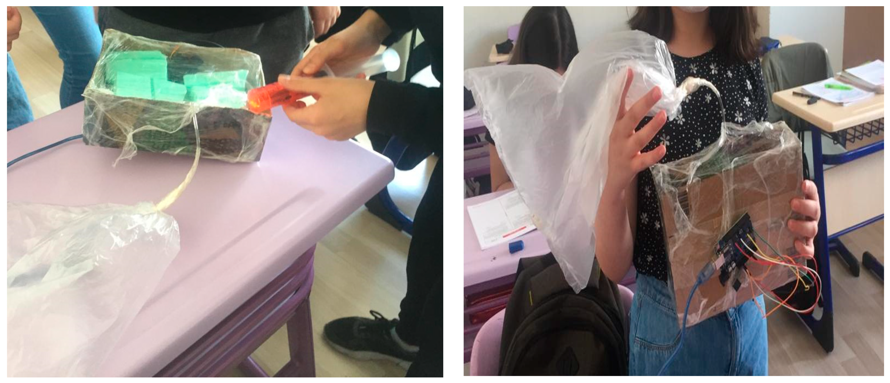 Biology 10 00506 g003