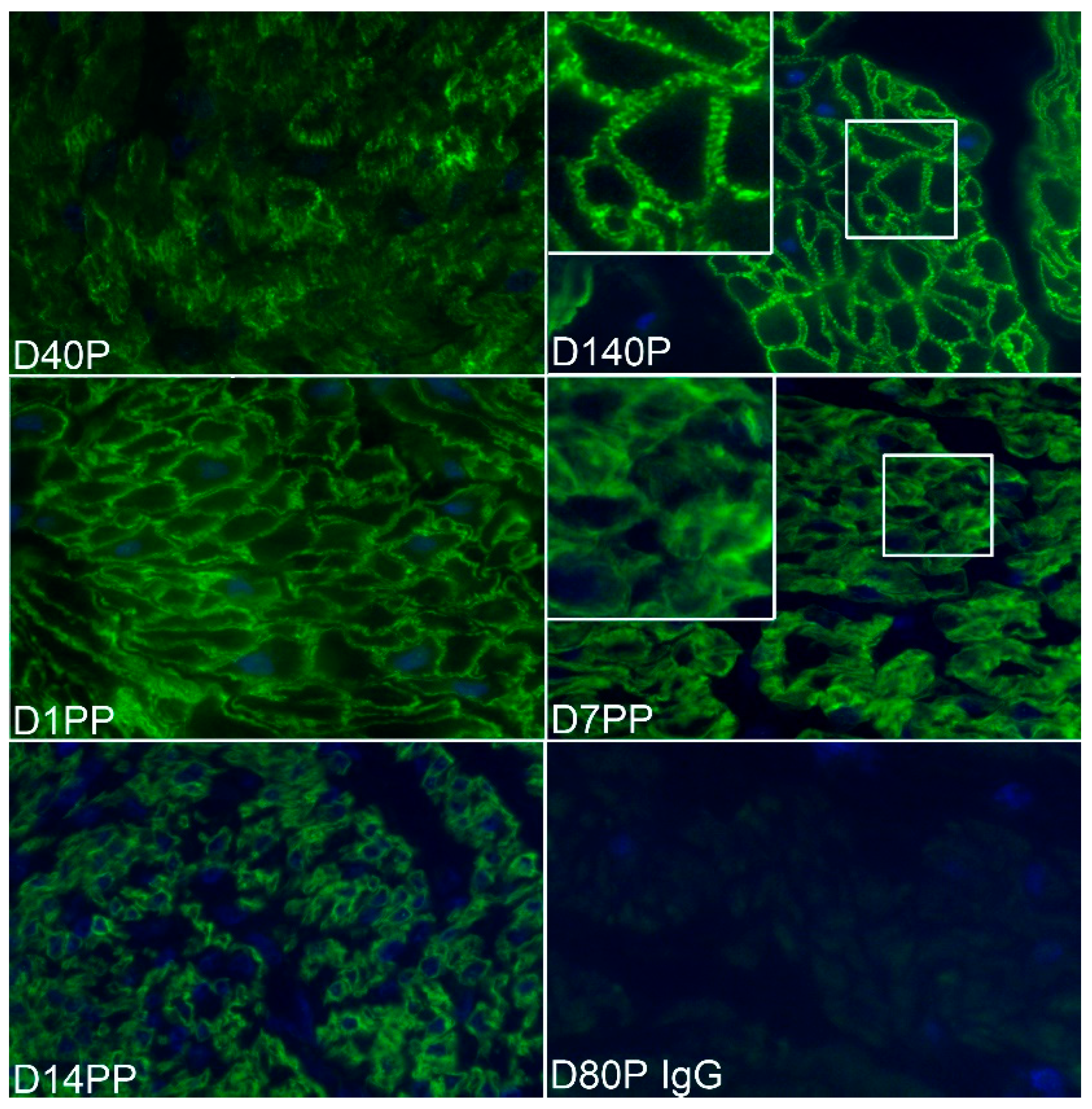 Biology 10 00508 g003 Biology 10 00508 g003