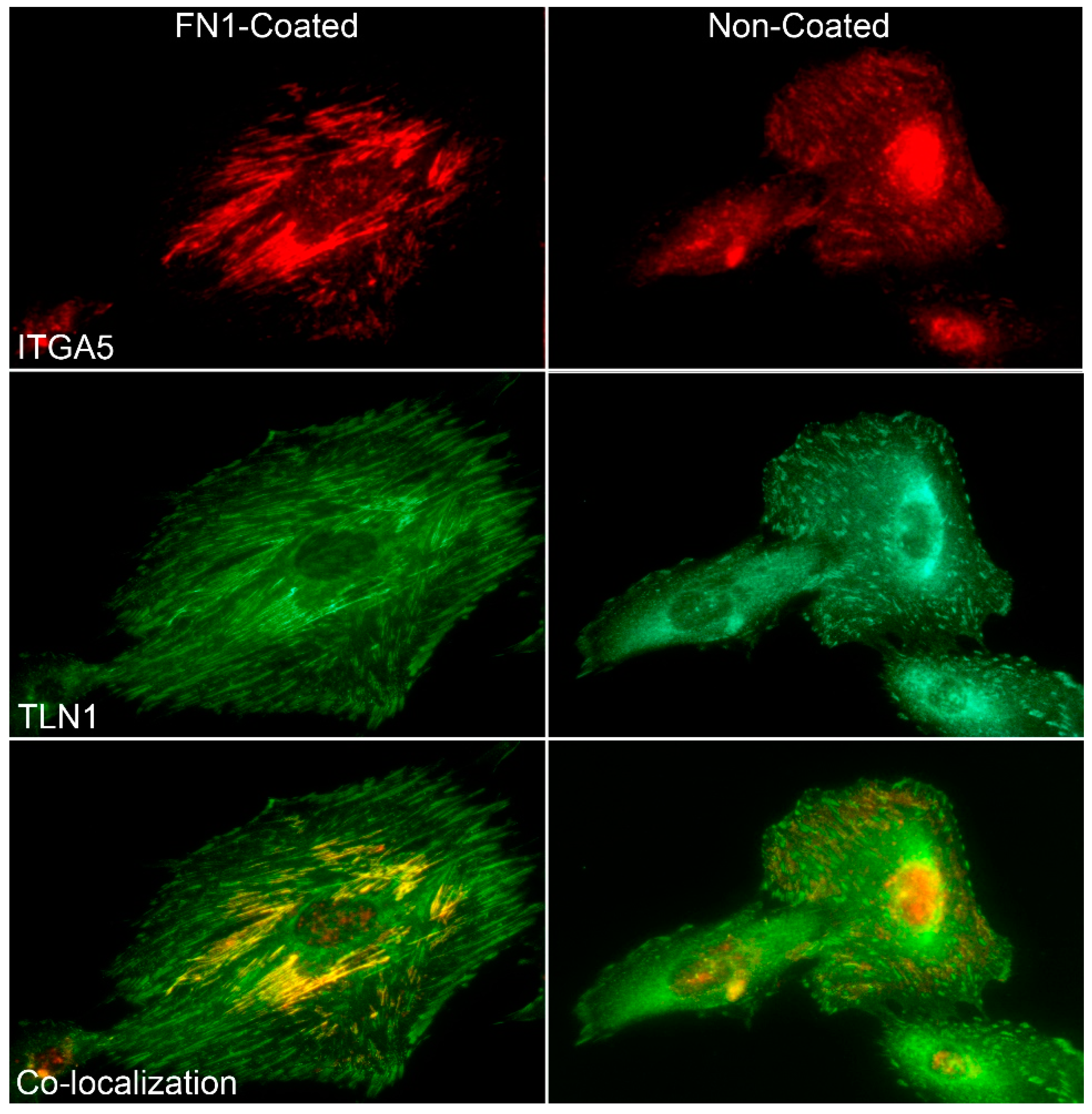 Biology 10 00508 g008 Biology 10 00508 g008