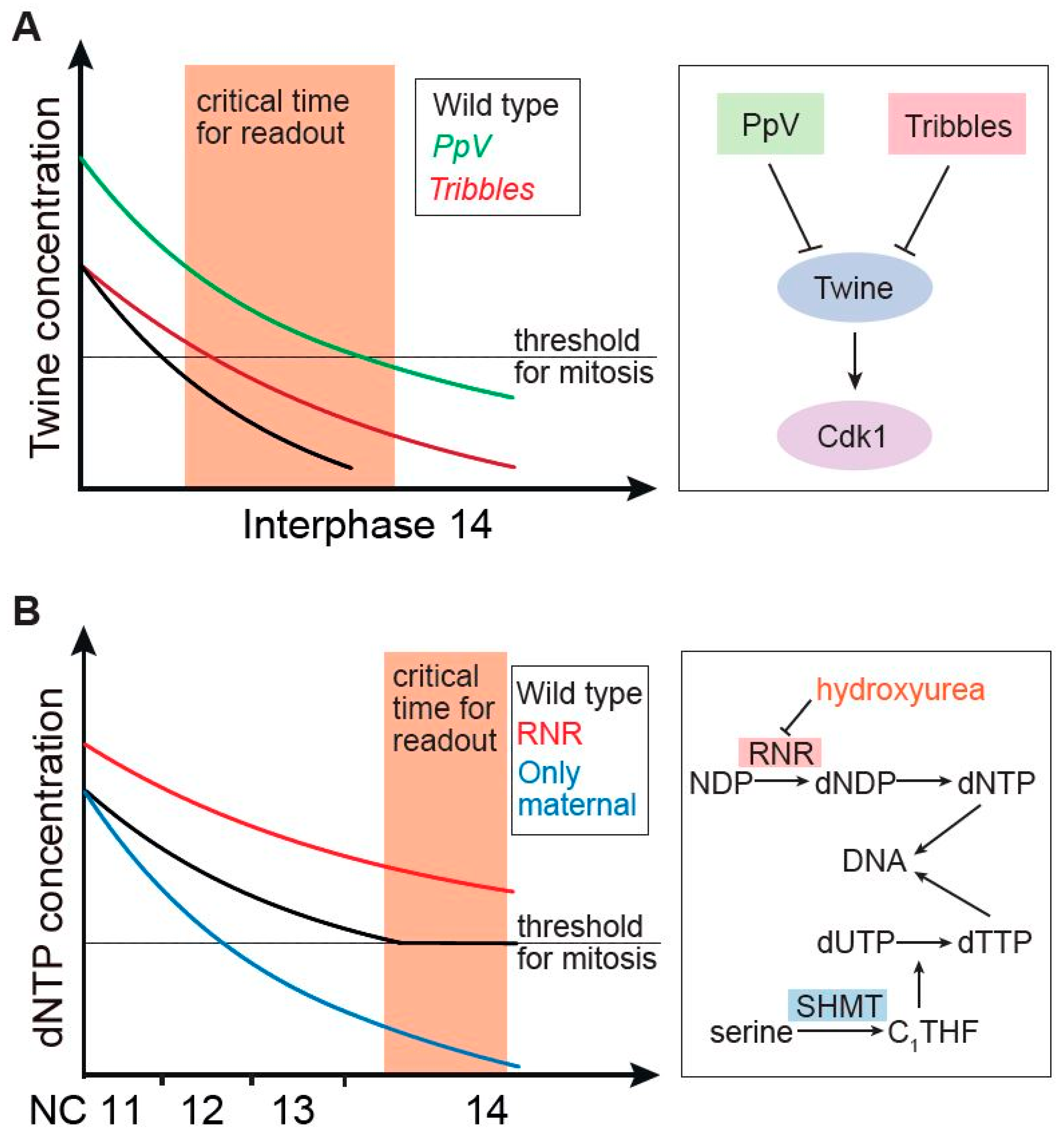 Biology 10 00513 g001