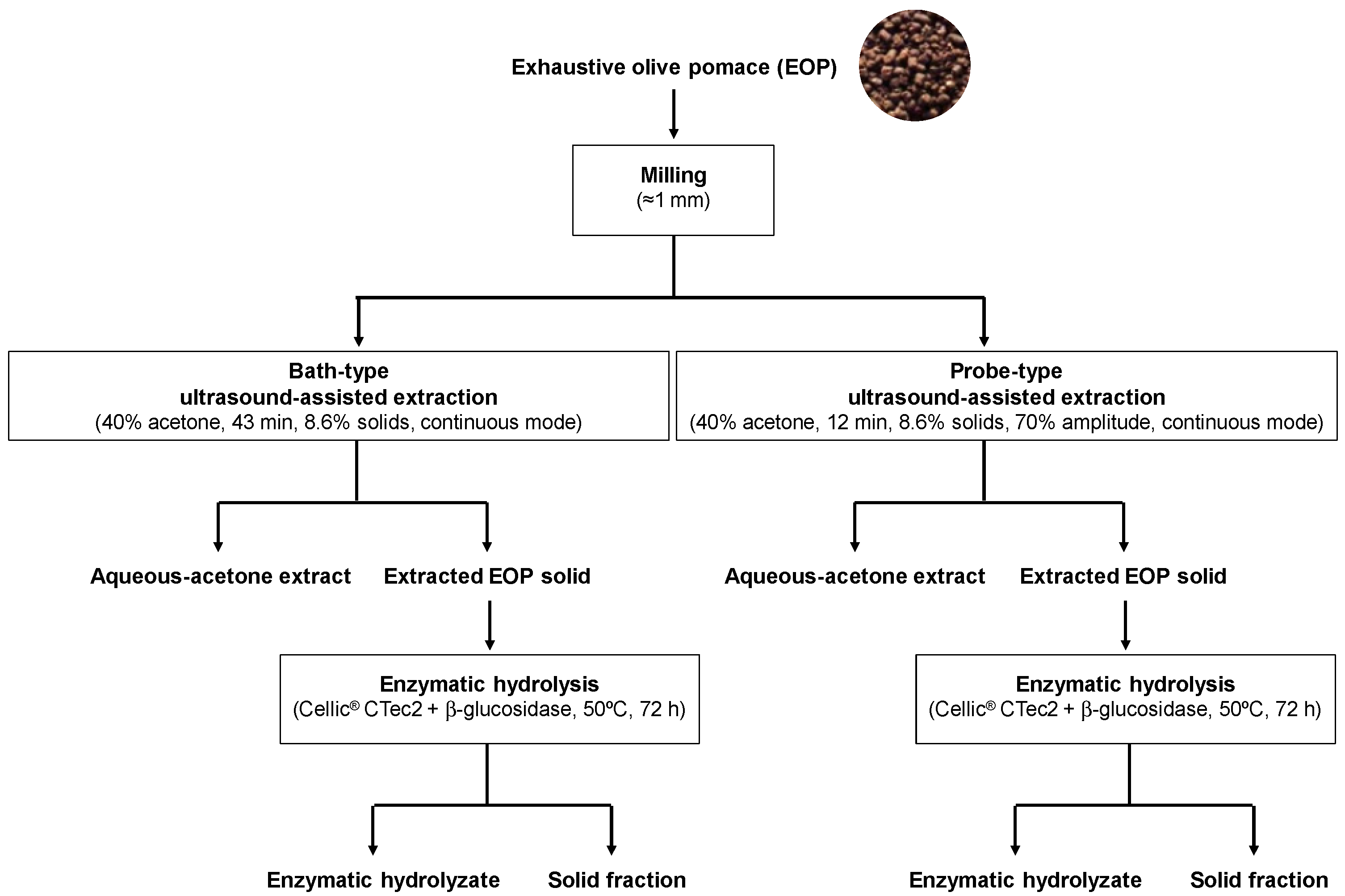 Biology 10 00514 g001