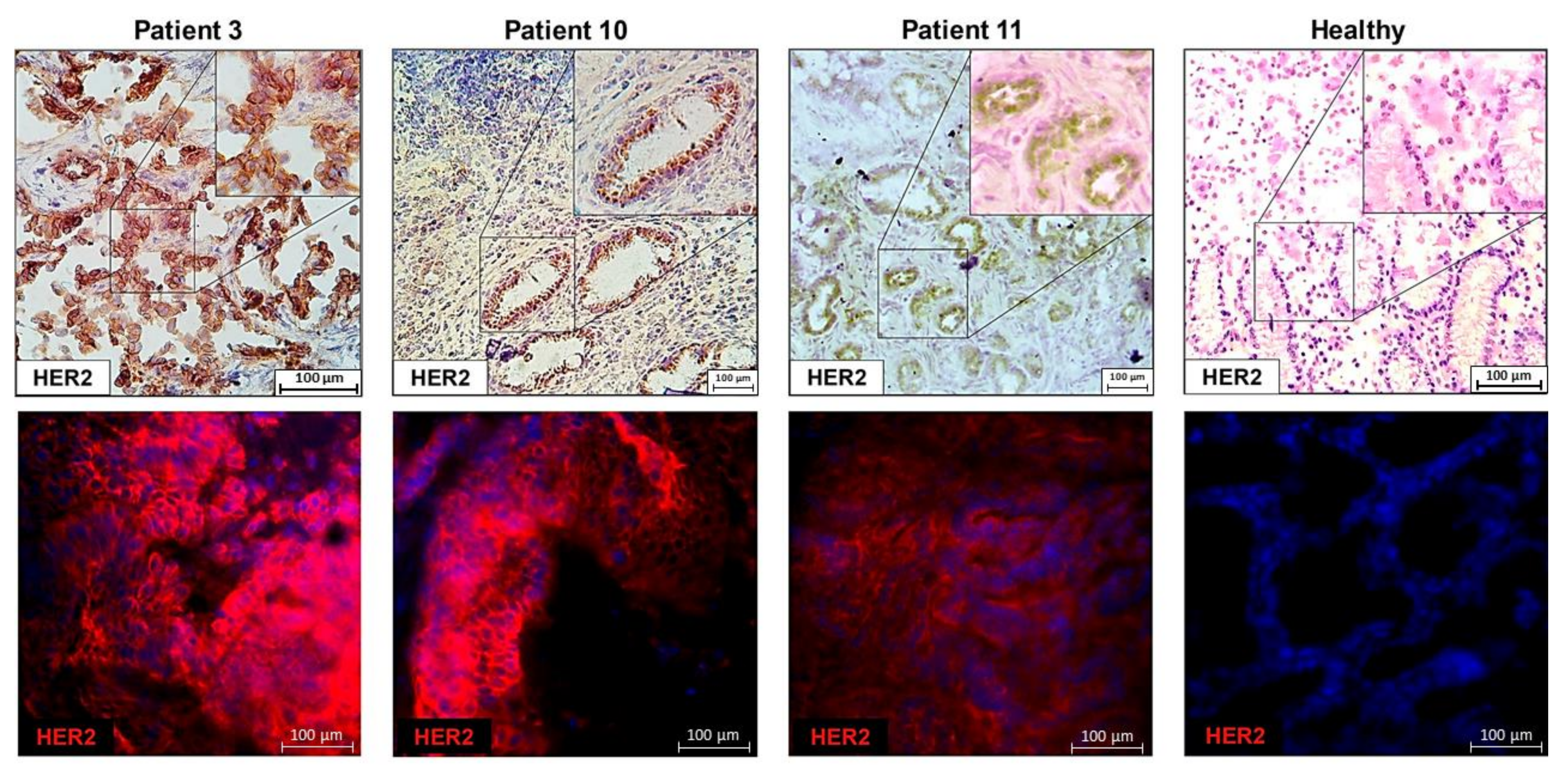 Biology 10 00516 g003