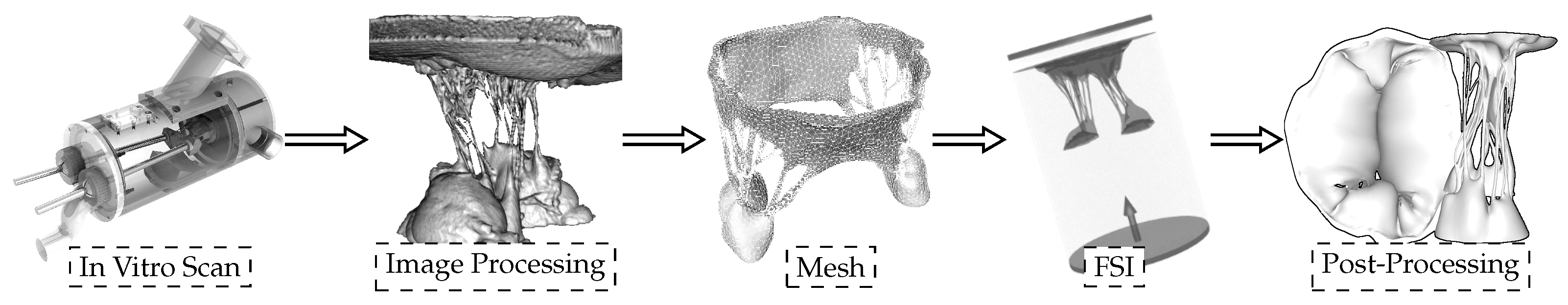 Biology 10 00536 g001