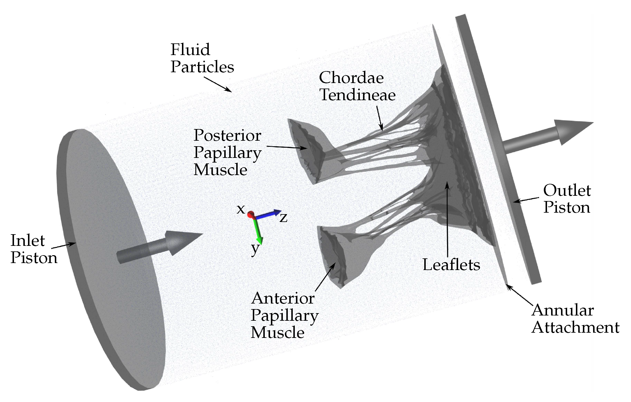 Biology 10 00536 g002