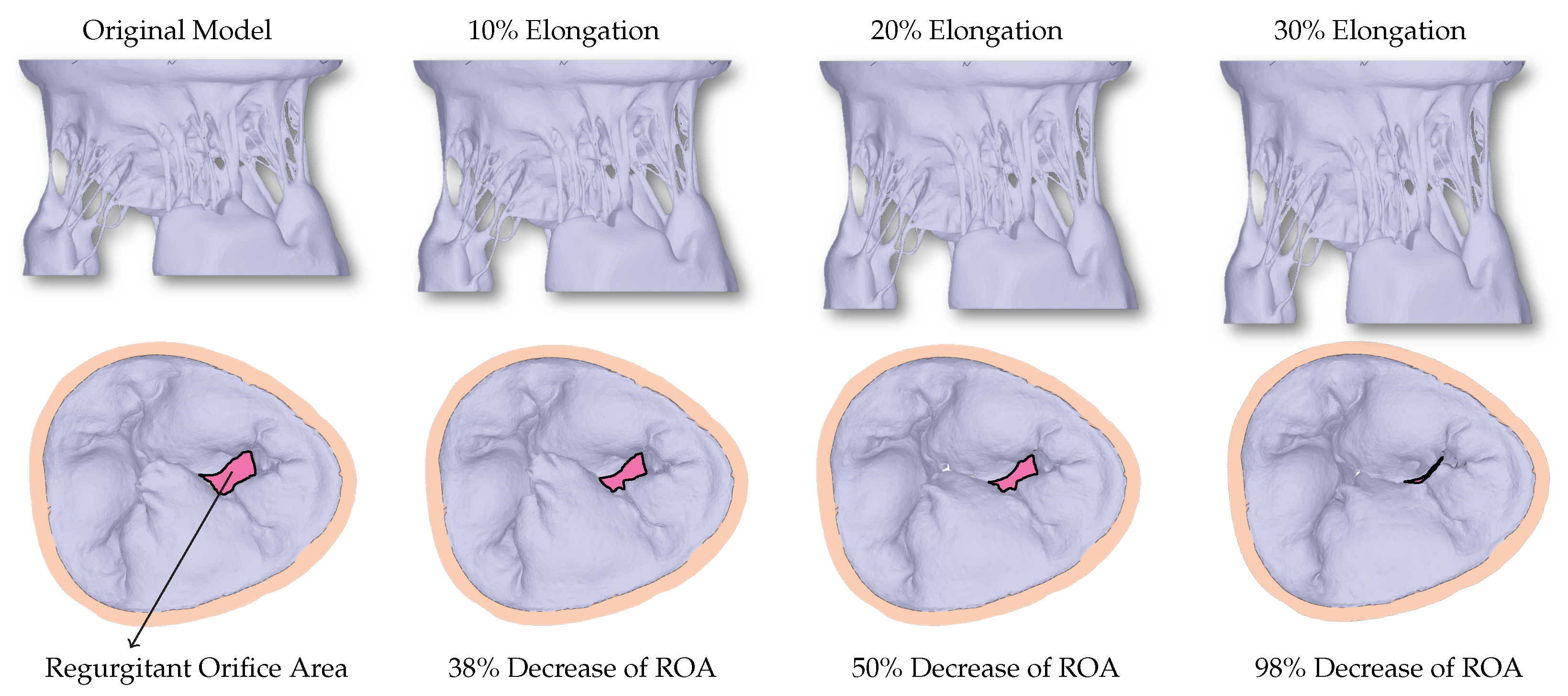 Biology 10 00536 g003