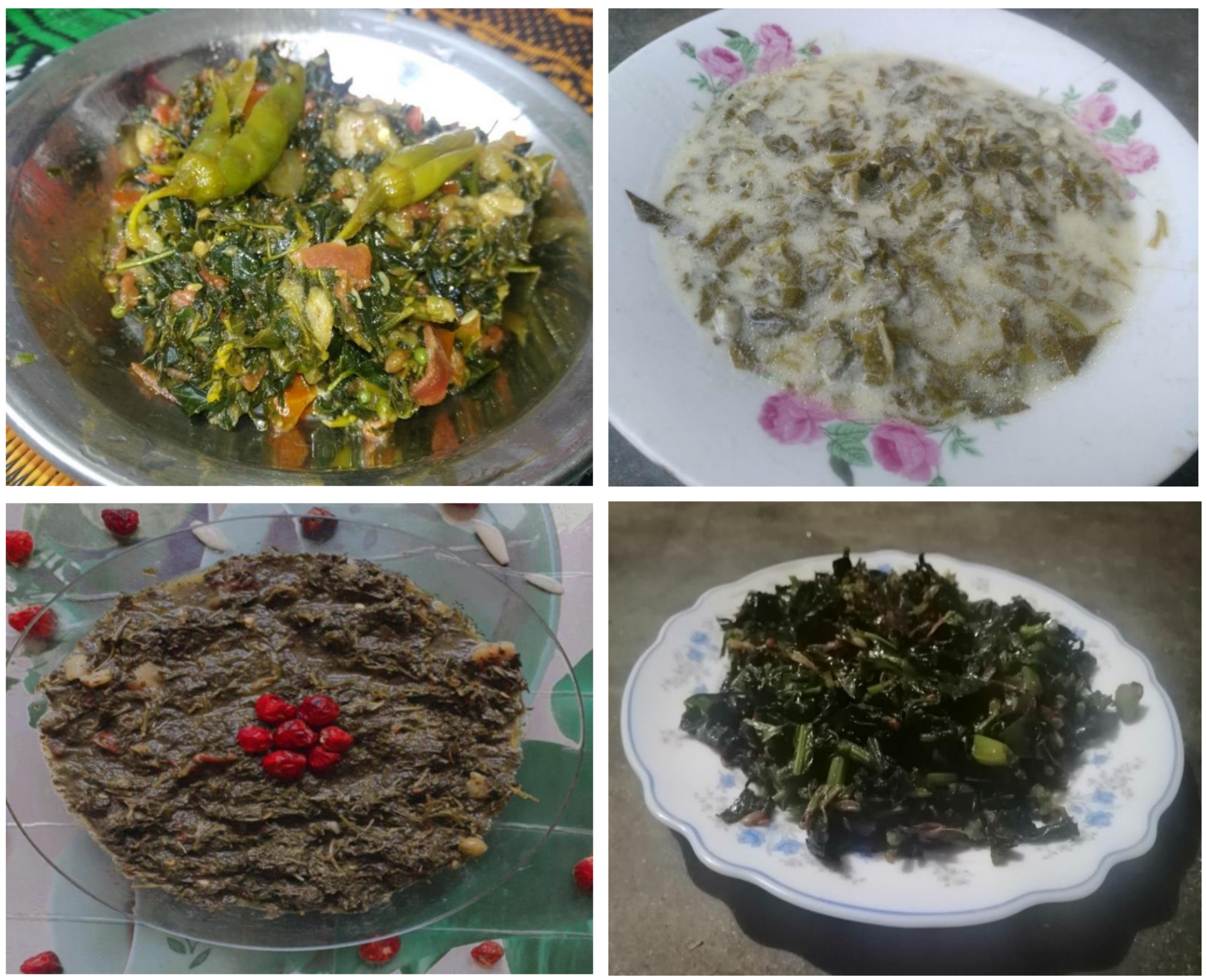 Biology 10 00537 g007