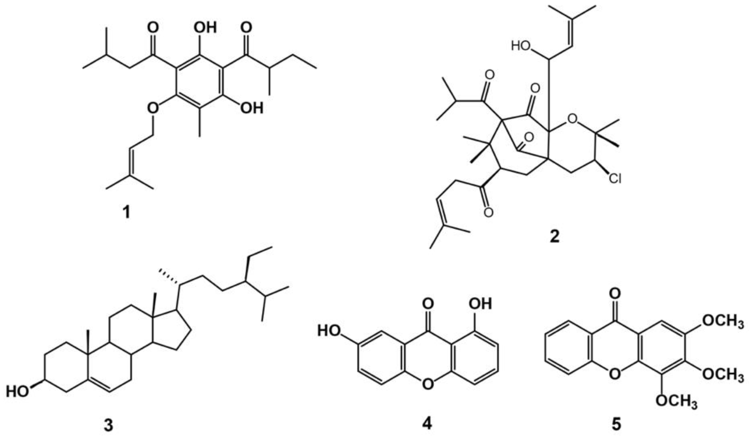 Biology 10 00541 g001