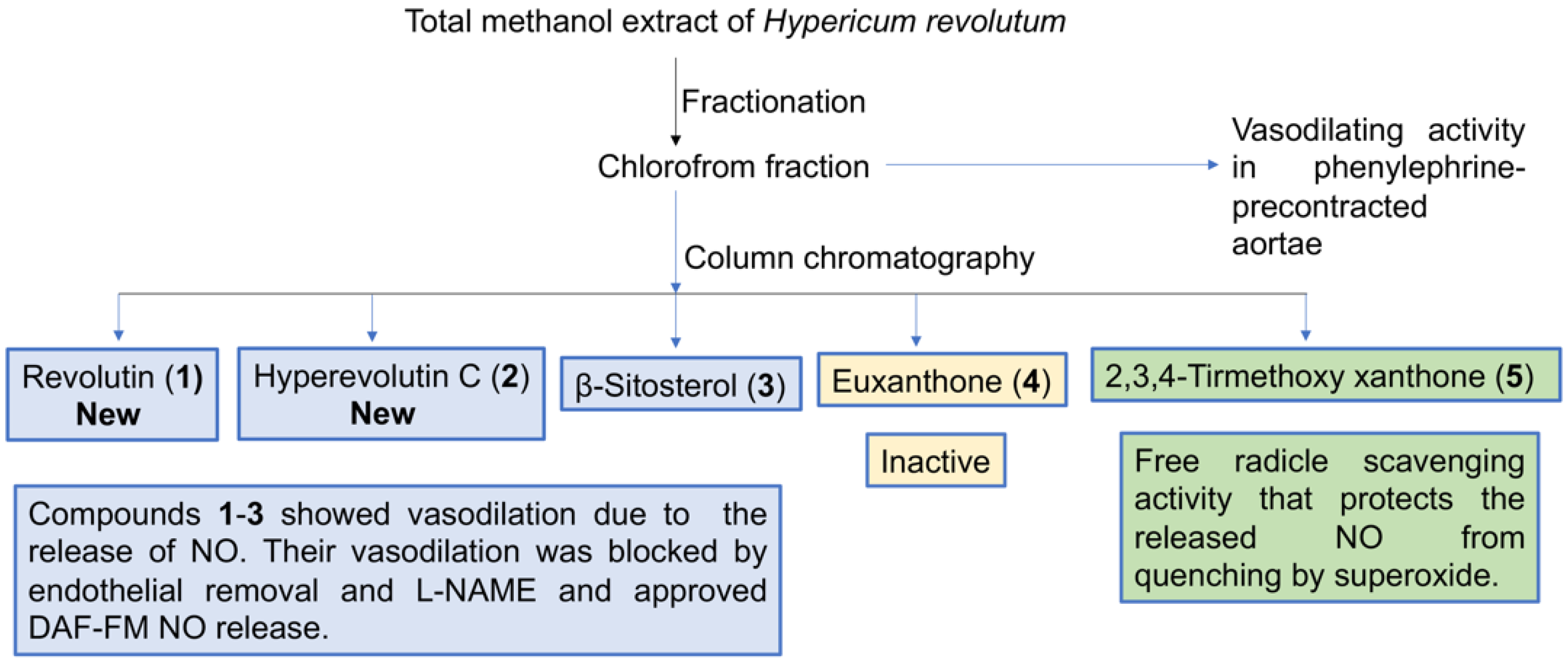 Biology 10 00541 g008